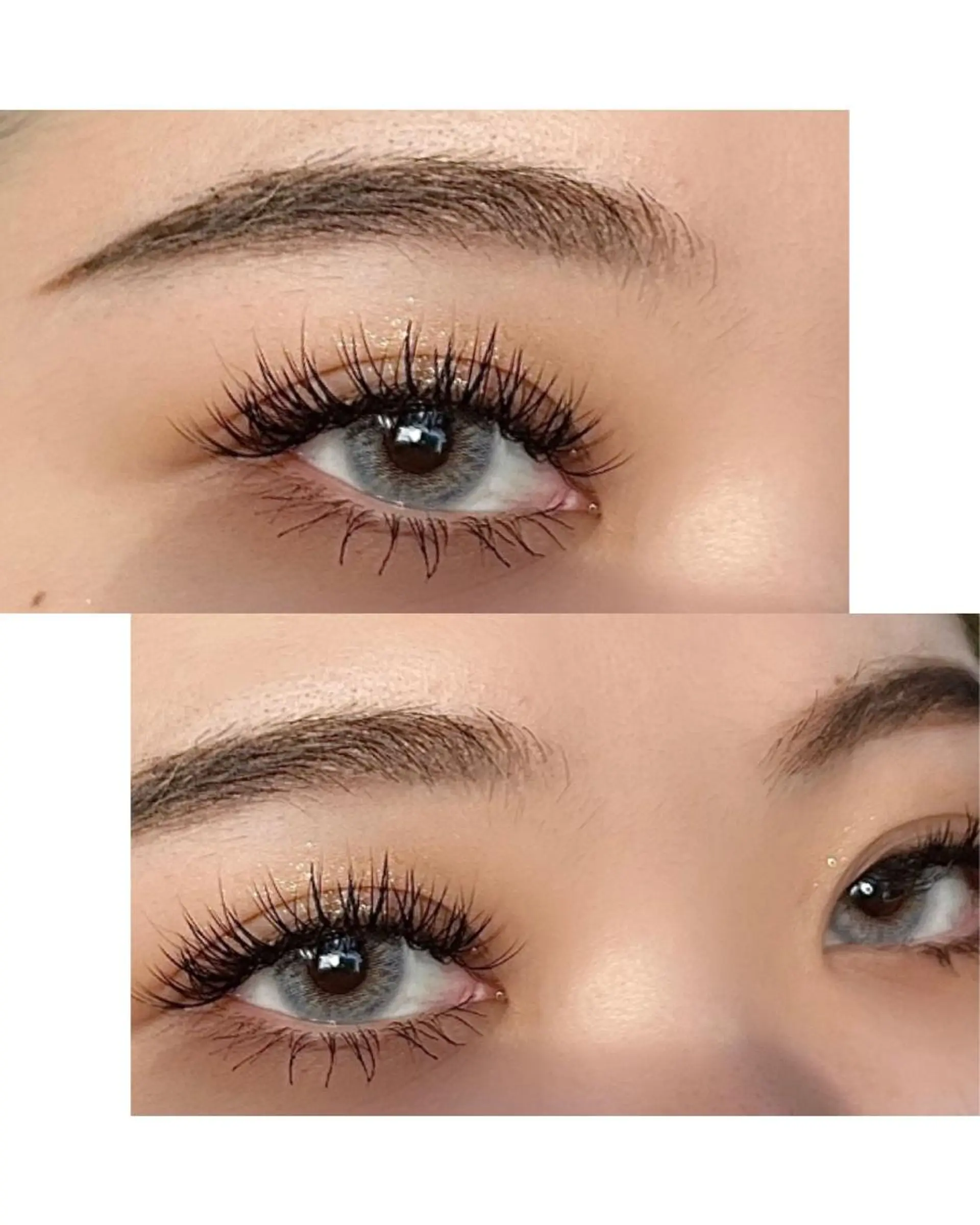 ãããšã¯ã»ããã ððŠð® .ã®ãããšã¯ã»ããããã¶ã€ã³