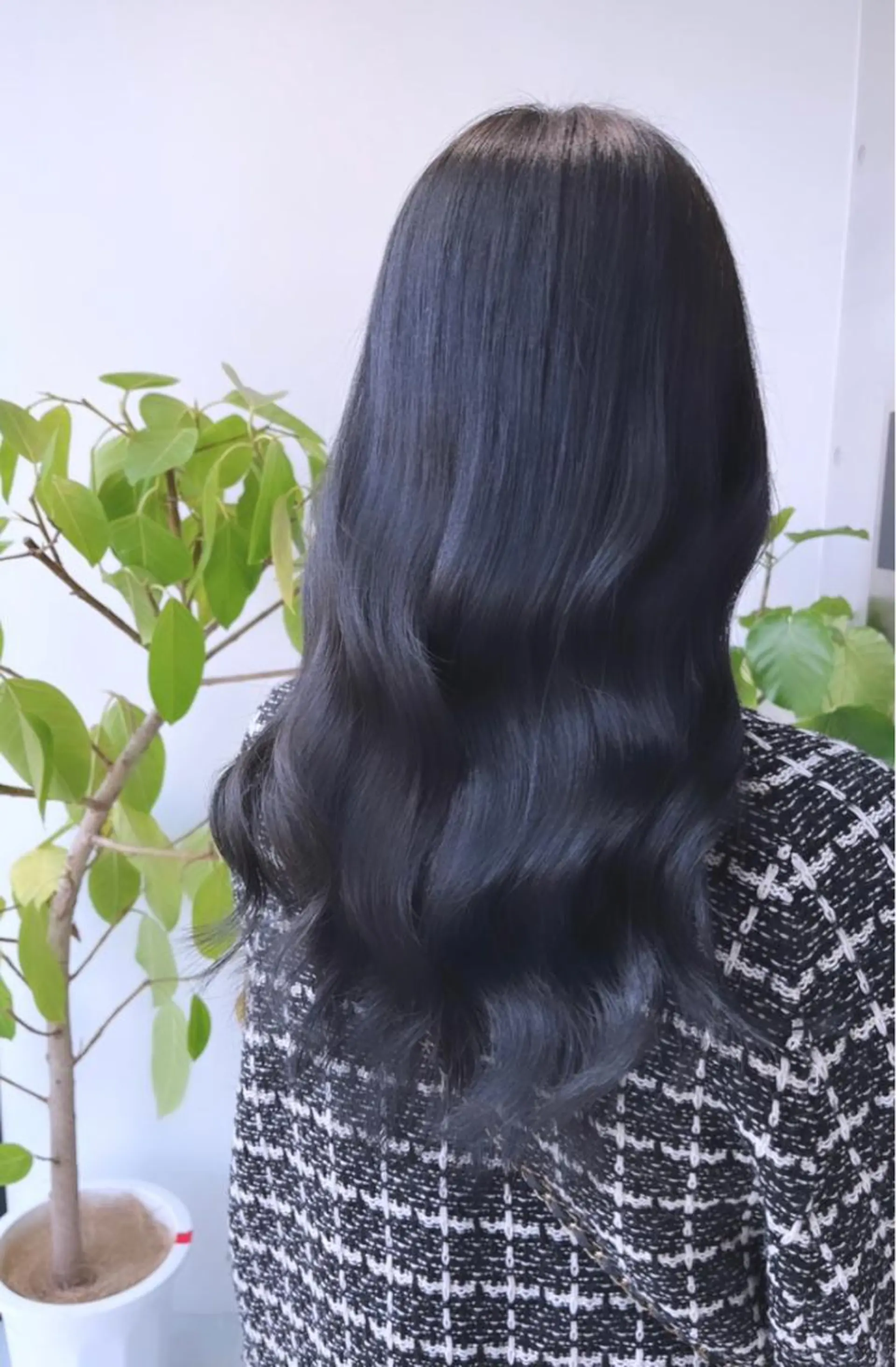 セミロング カット ヘアカラー トリートメント 🌫️大人韓国ヘア 🌫️naoyaのヘアスタイル