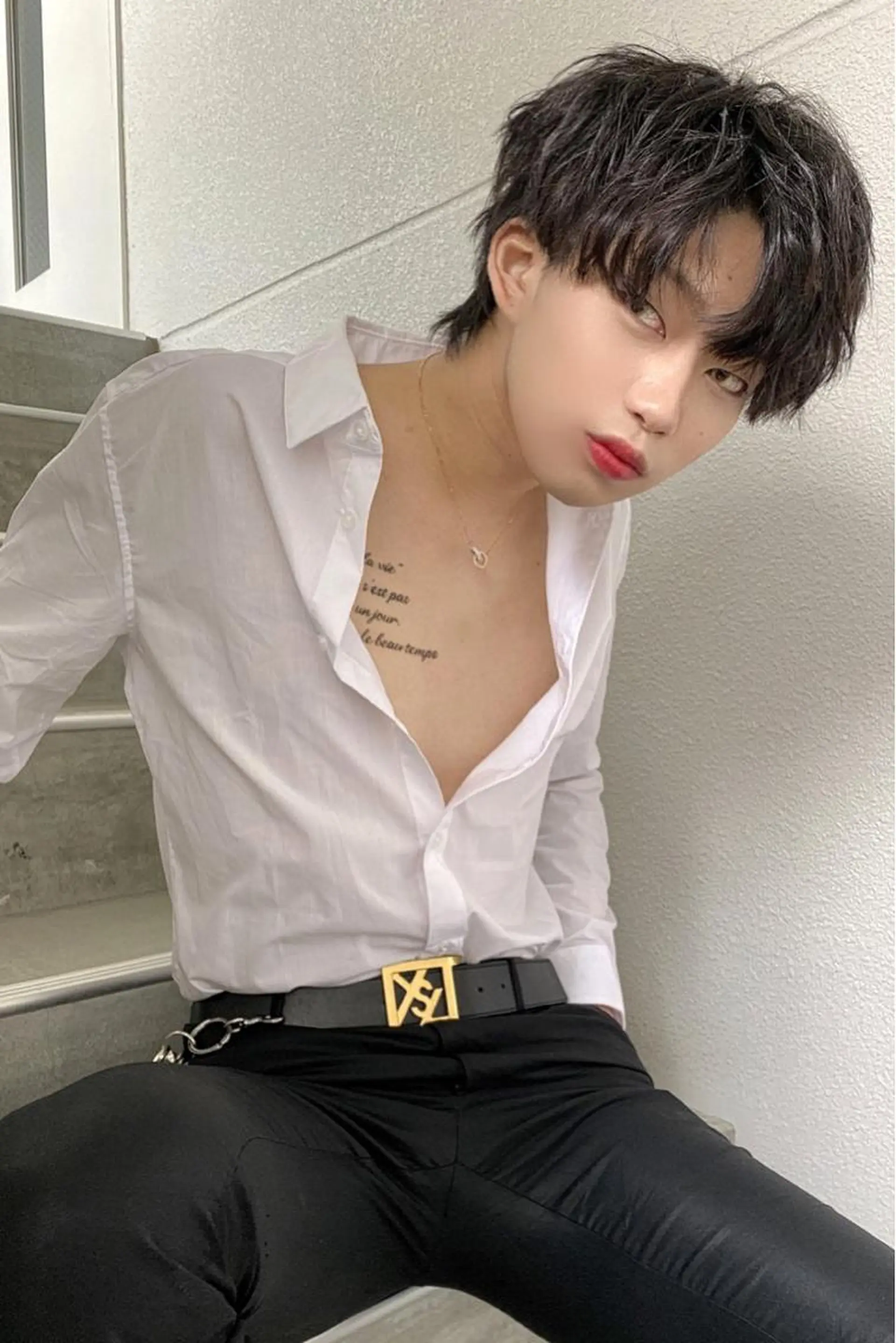 ショート メンズ マッシュウルフ マッシュ メンズウルフカット ウルフカット メッシュカラー 艶髪/西尾 幸樹のヘアスタイル