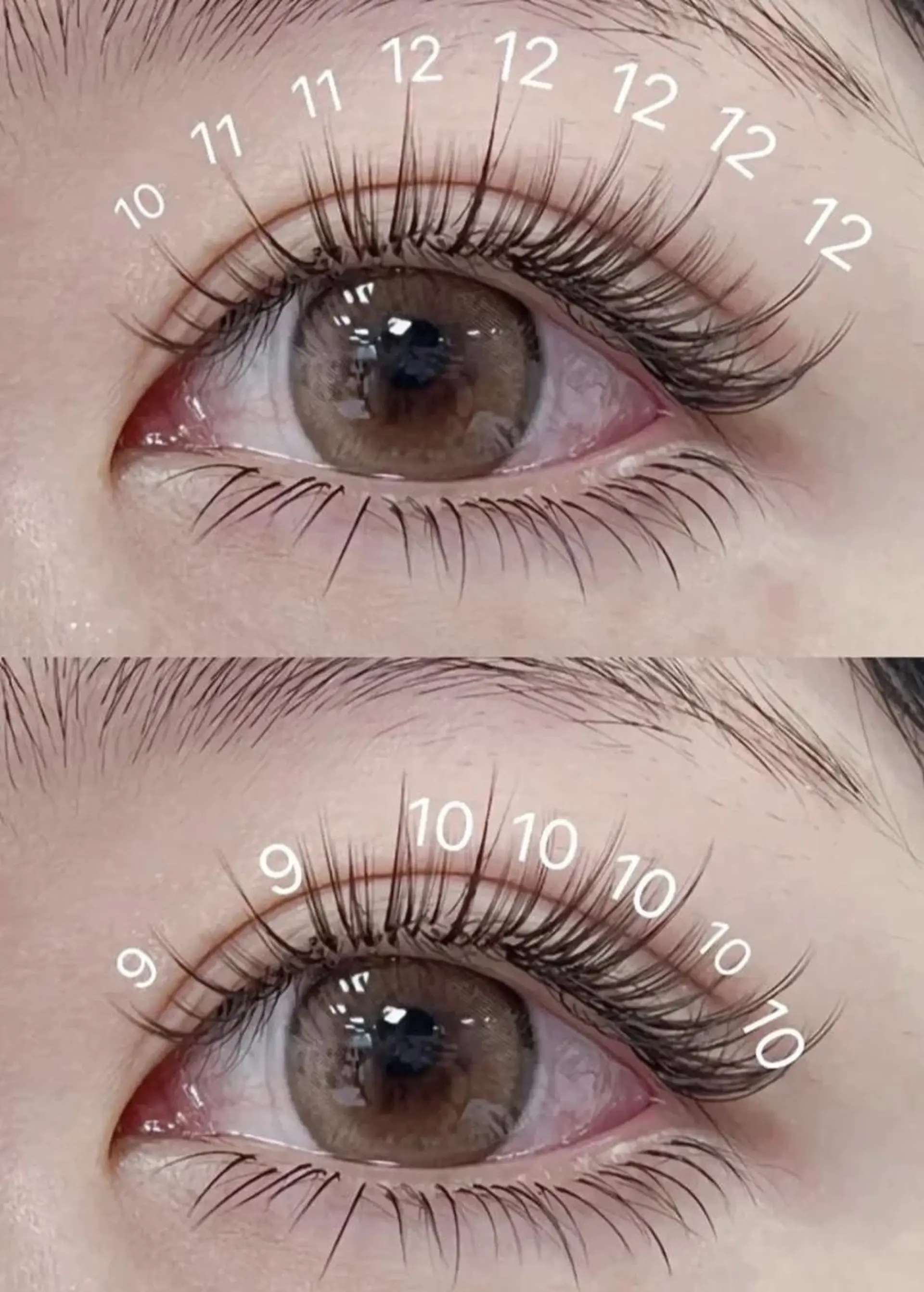 マツエク・マツパ Cute B e au t yのマツエク・マツパデザイン