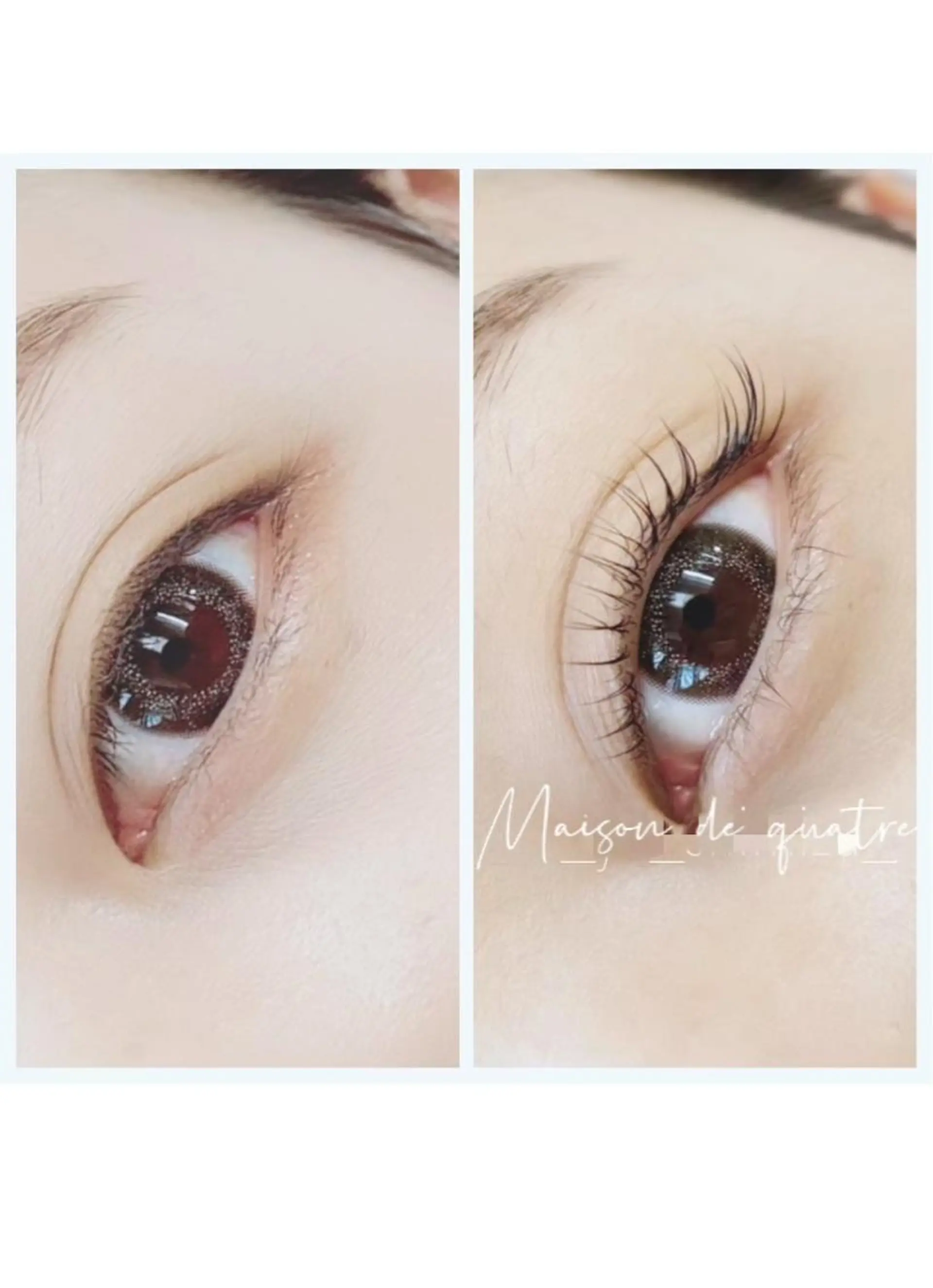 マツエク・マツパ ブラウンラッシュ カラーマツエク フラットラッシュ まつげパーマ ボリュームラッシュ Maison de quatreのマツエク・マツパデザイン