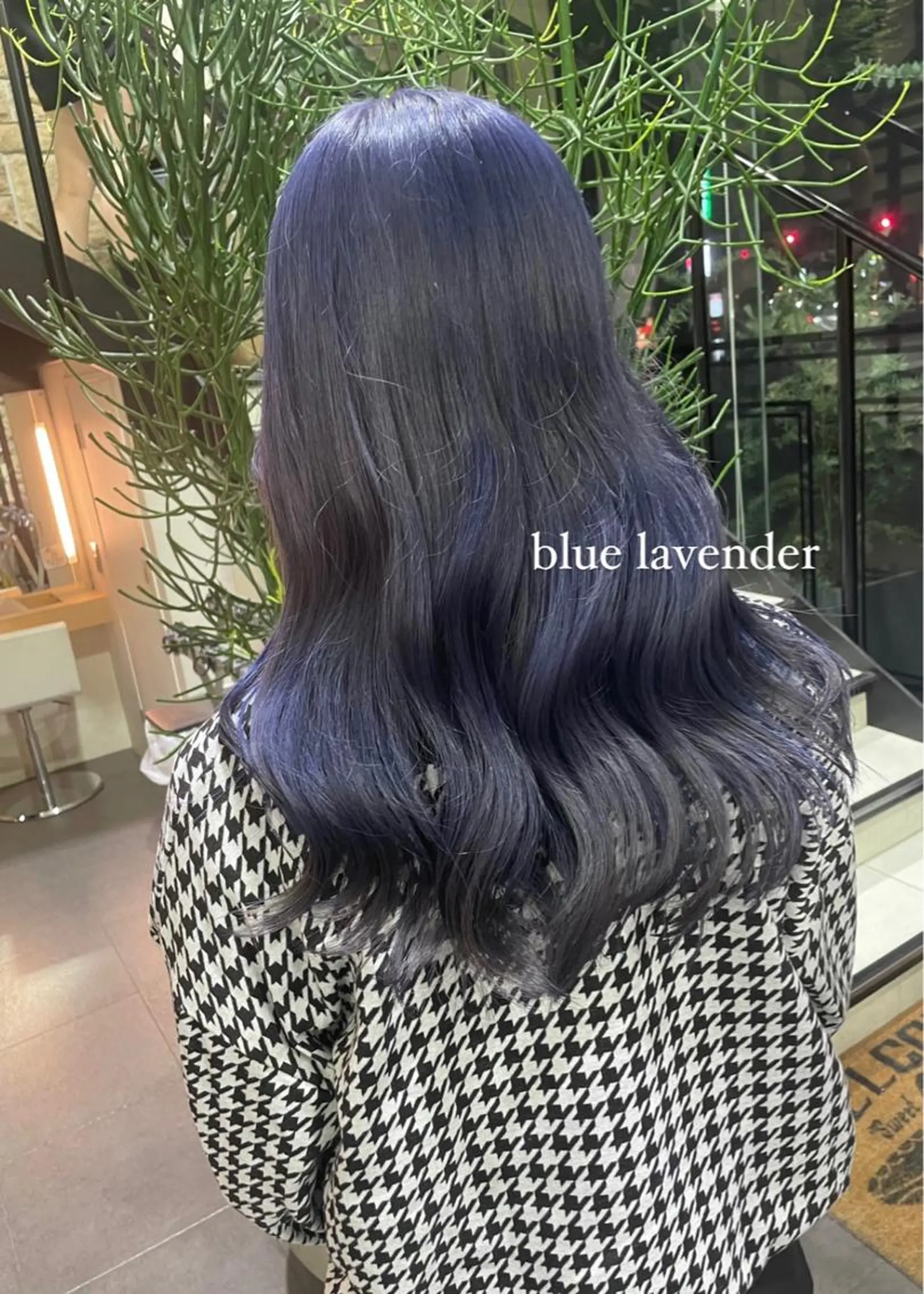 カラー 【 ネイリスト&アイ リスト】キヨカのネイルデザイン