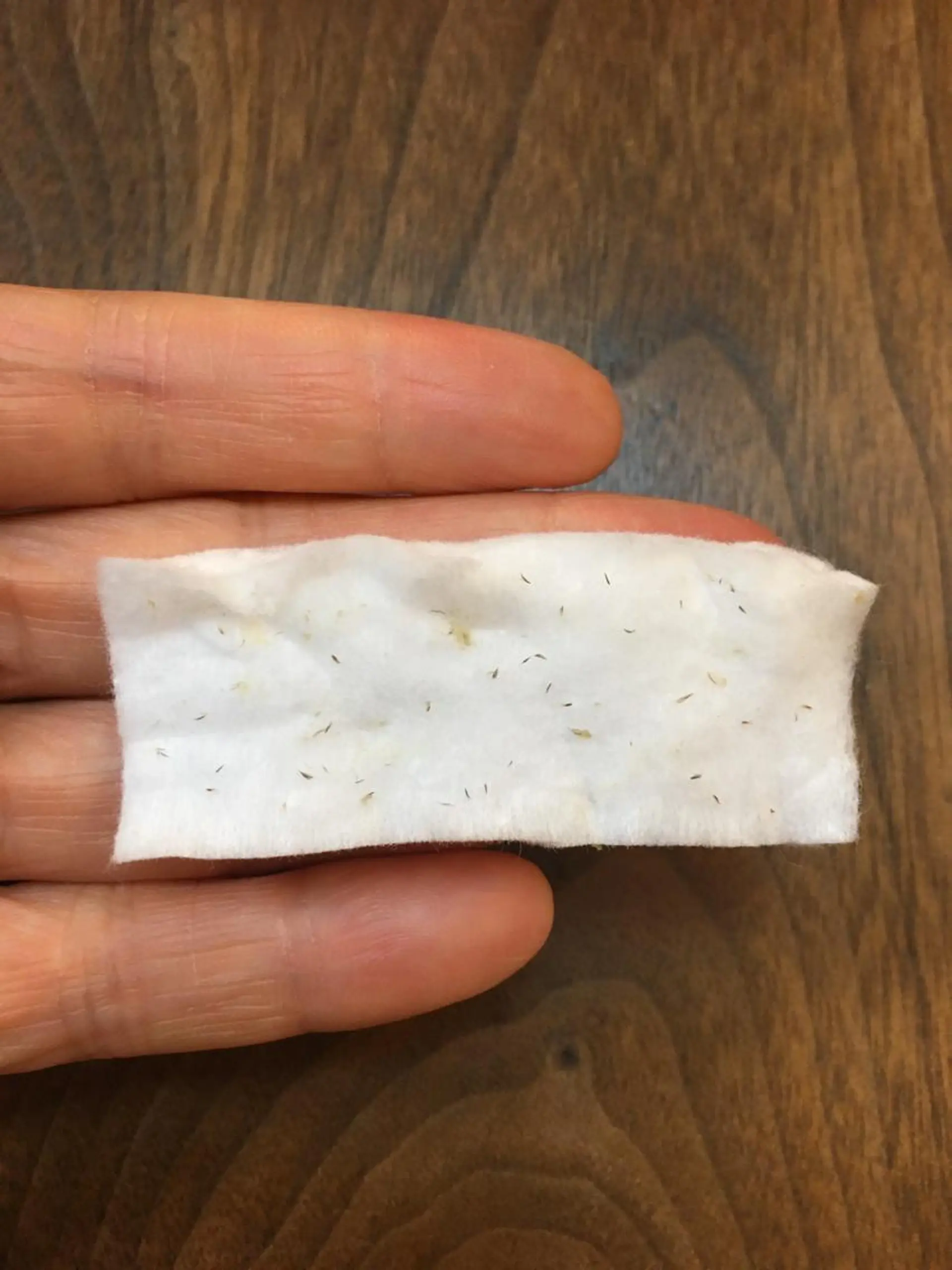 枝廣 貴子のエステ・リラクイメージ