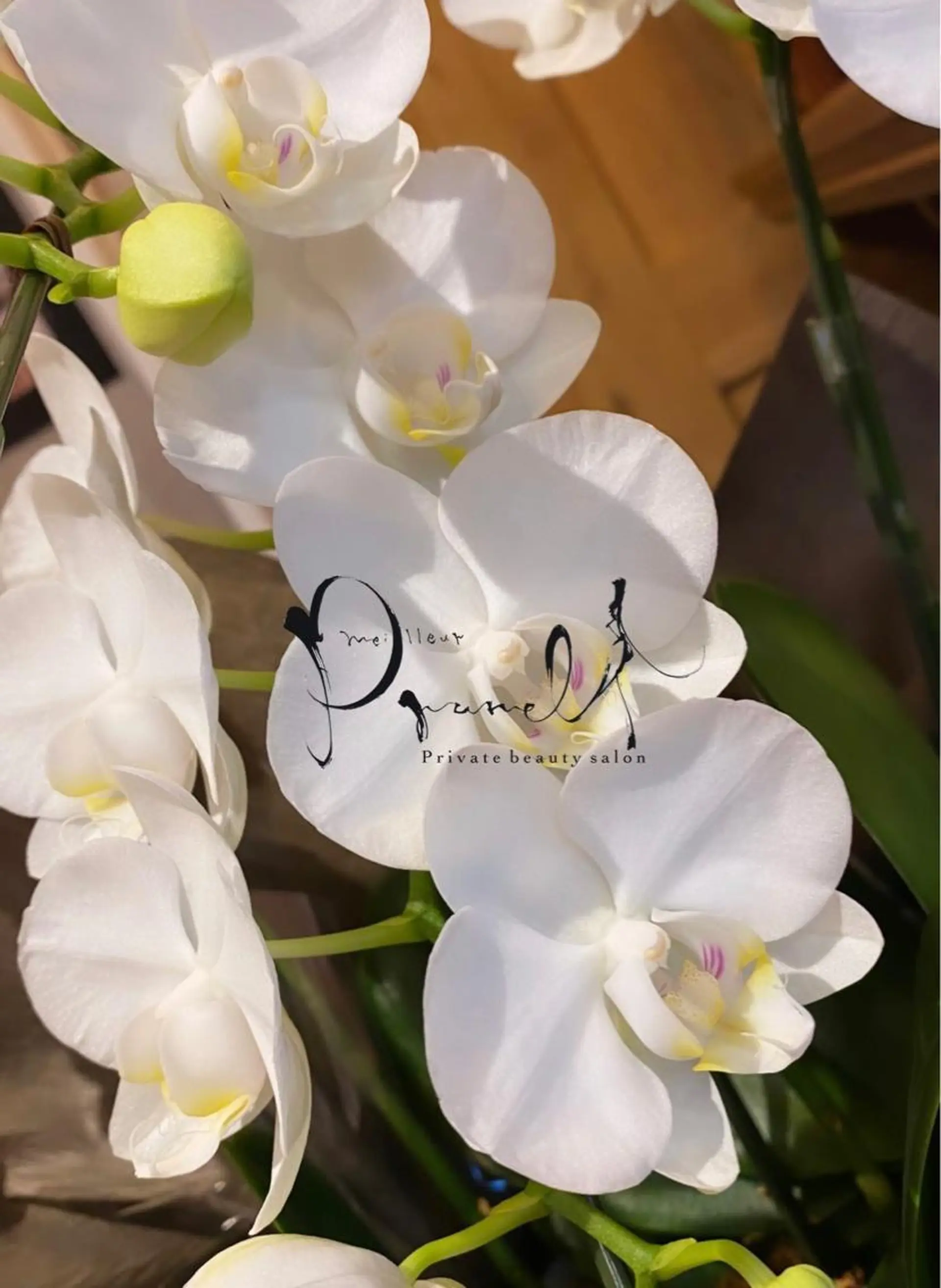 meilleur prunelleのエステ・リラクイメージ