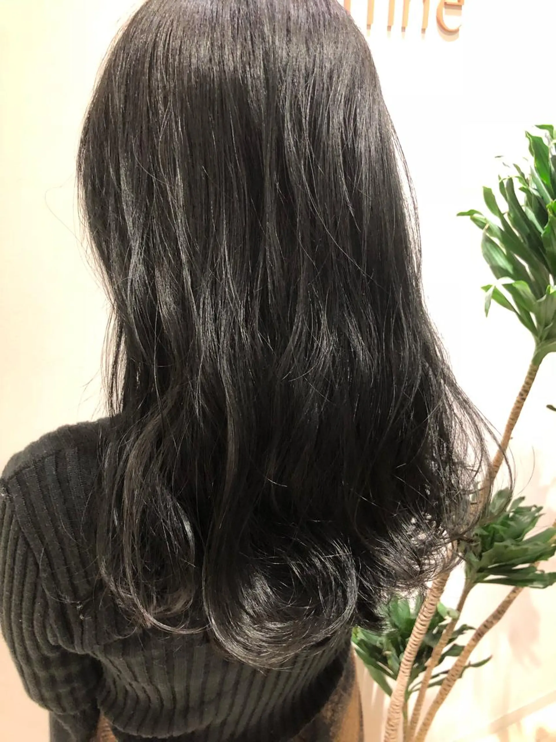 セミロング アッシュ 【髪質改善】 川津翔太のヘアスタイル