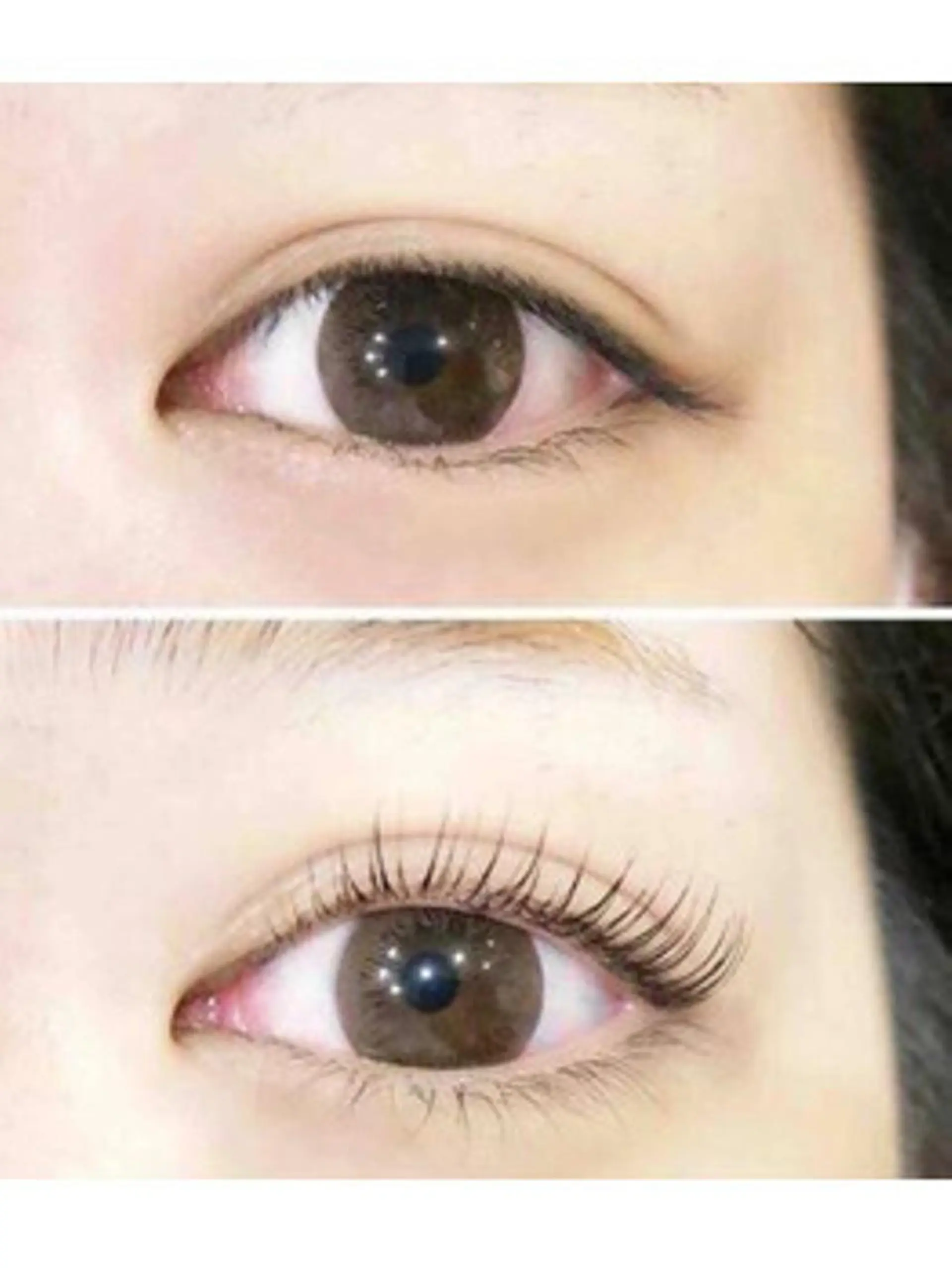 マツエク・マツパ Ciente所属・Ciente🕊 ミキのマツエク・マツパデザイン