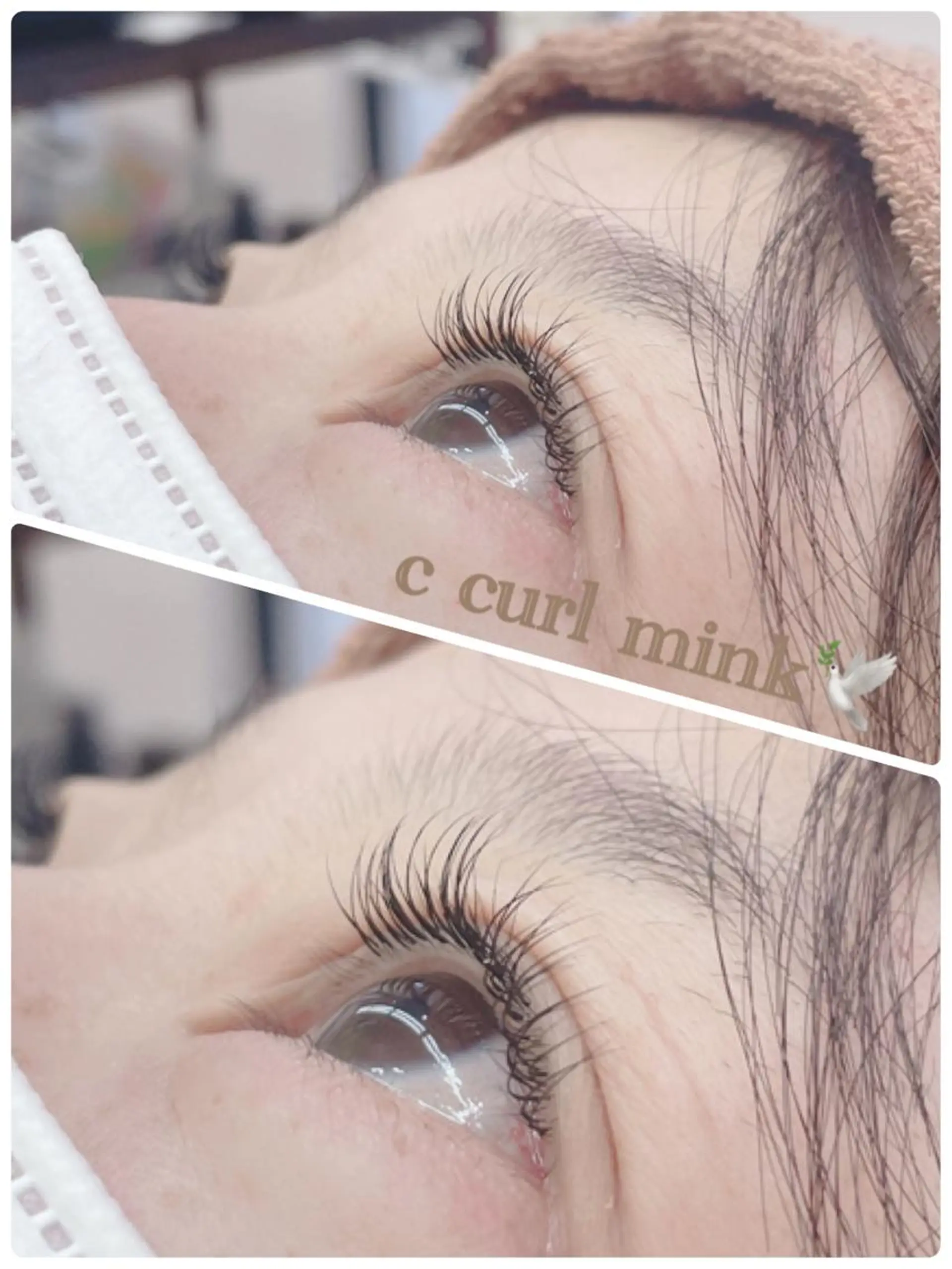 マツエク・マツパ Cカール WE RULE 札幌店 【ウィールール 札幌店】所属・✨️大人ショート 髙橋朋花のヘアスタイル