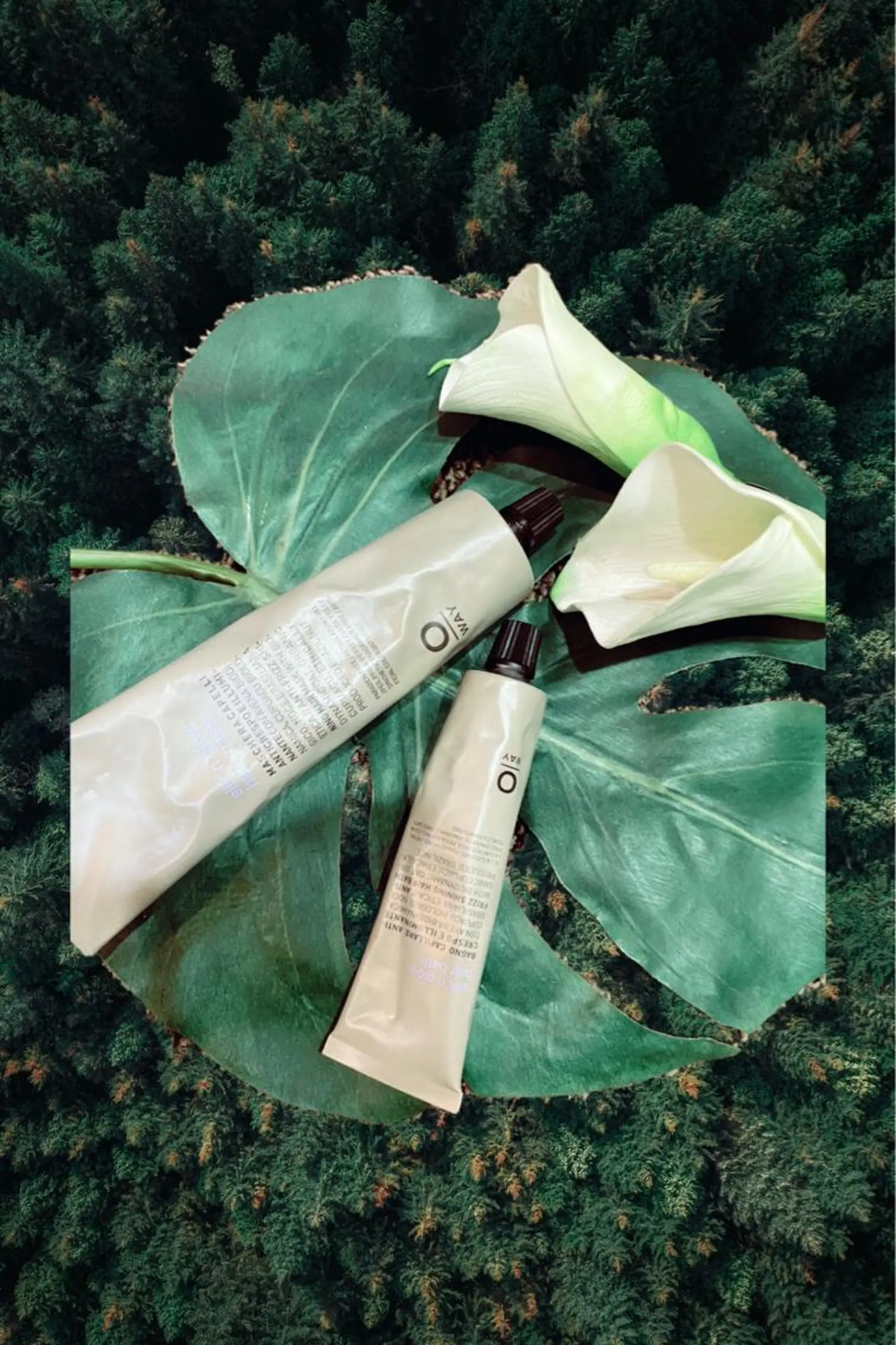 GO TODAY  SHAIRE SALON所属・美髪クリエーター テラダタエコのヘアスタイル