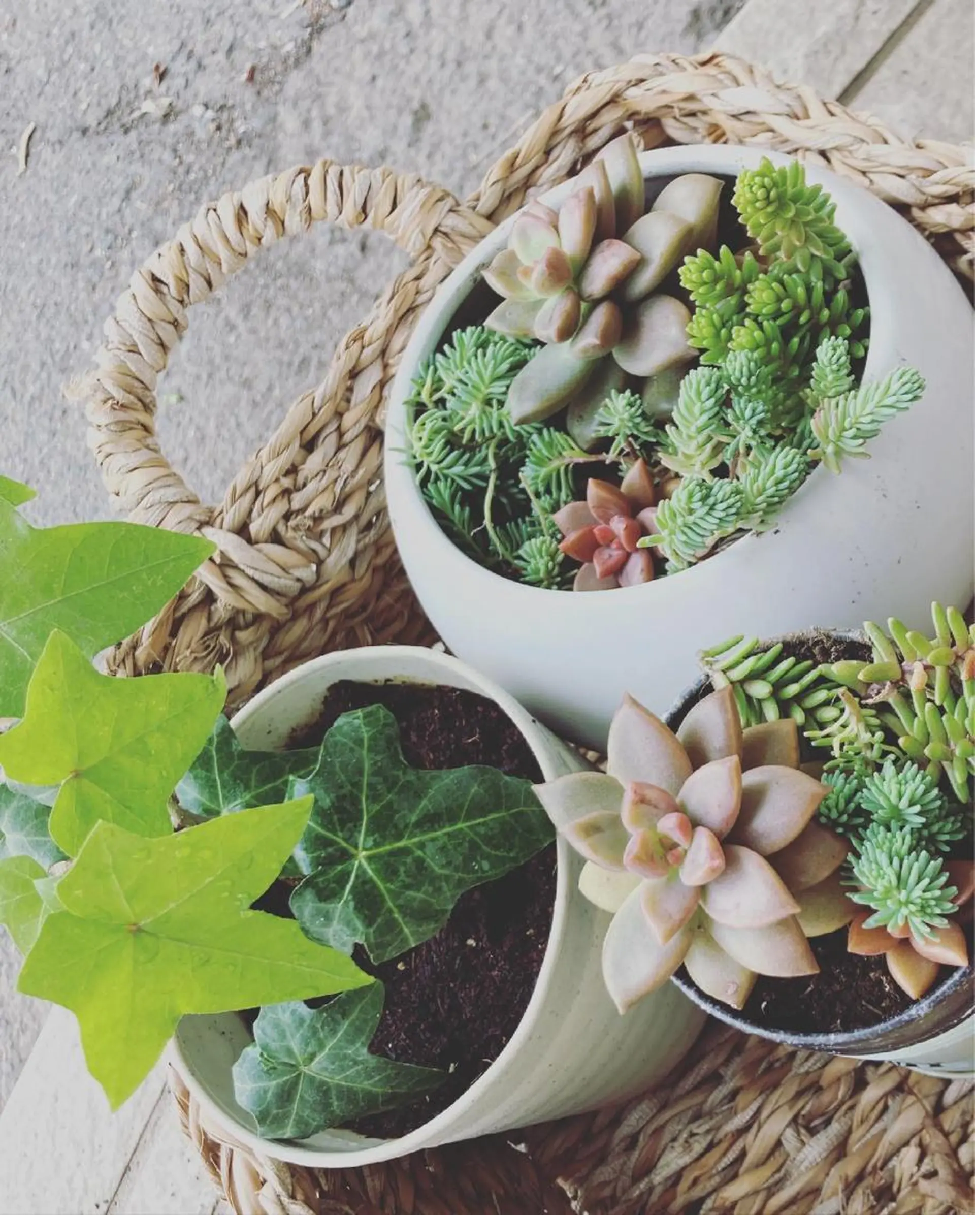 フェイシャルサロン ビアンカガーデンのエステ・リラクイメージ