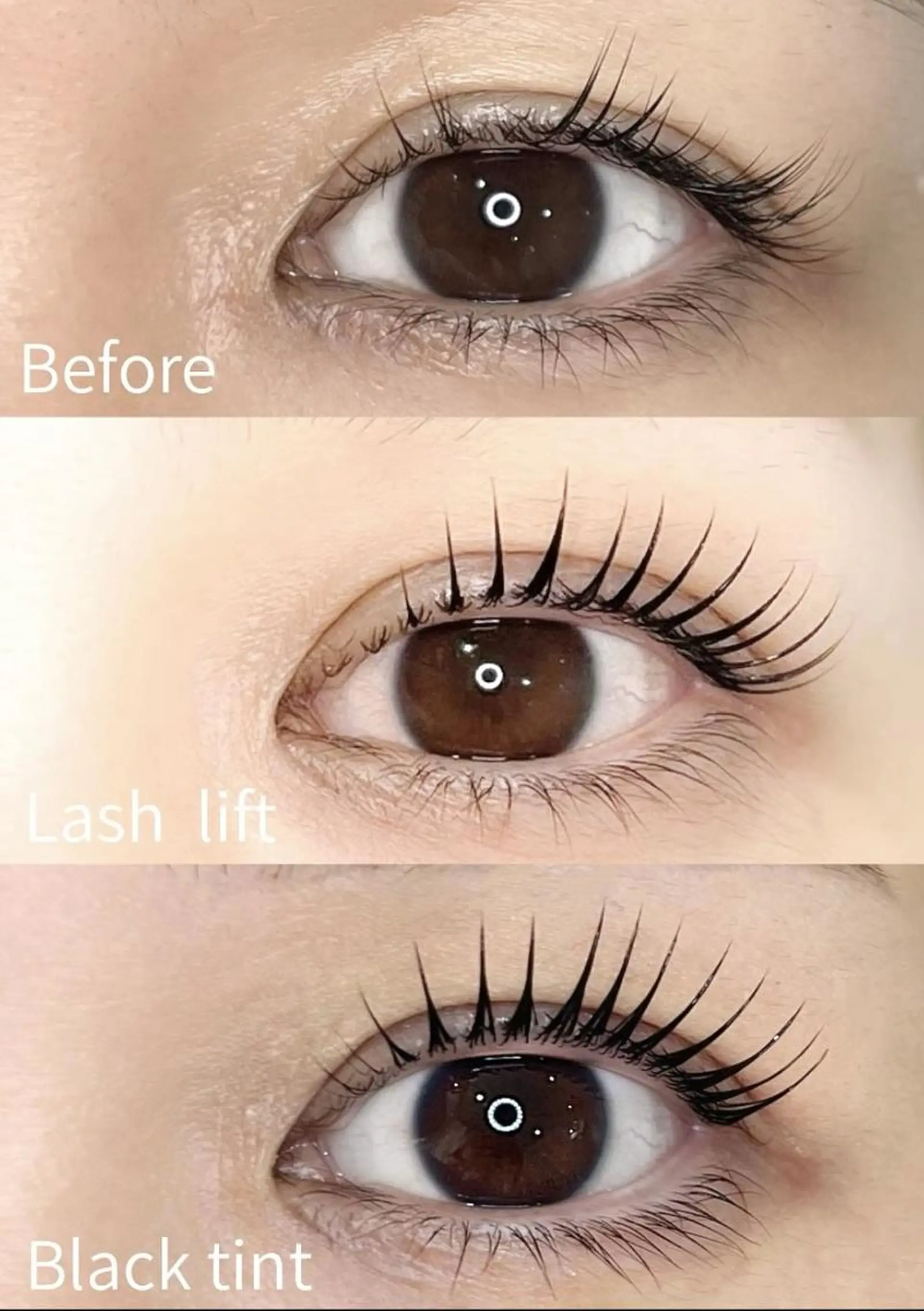 マツエク・マツパ アンジュベル Ginzaのマツエク・マツパデザイン