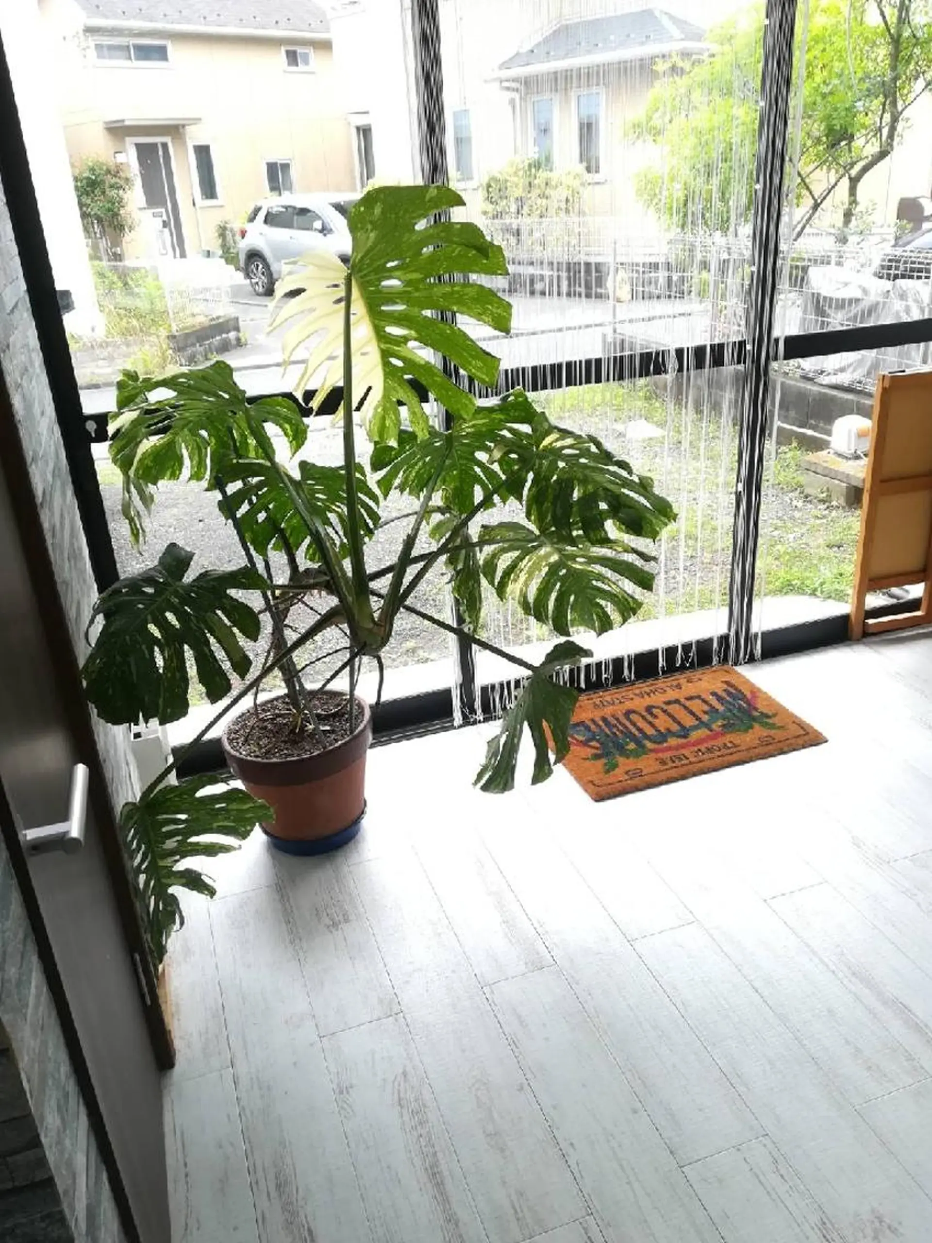 マツエク・マツパ マツエク tomonail eyelistのマツエク・マツパデザイン