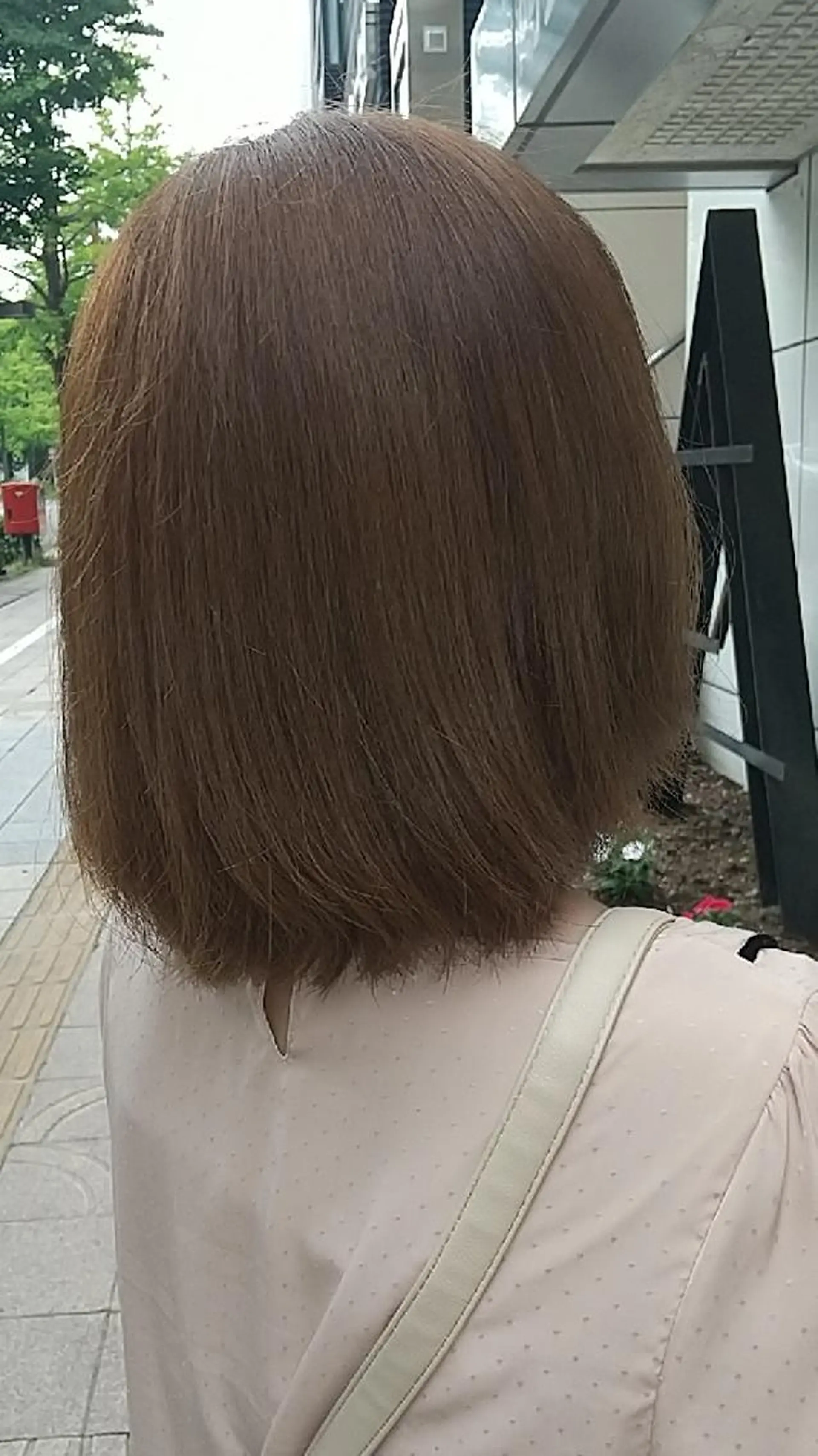 カラー SUMIRE🌿 スミレのマツエク・マツパデザイン