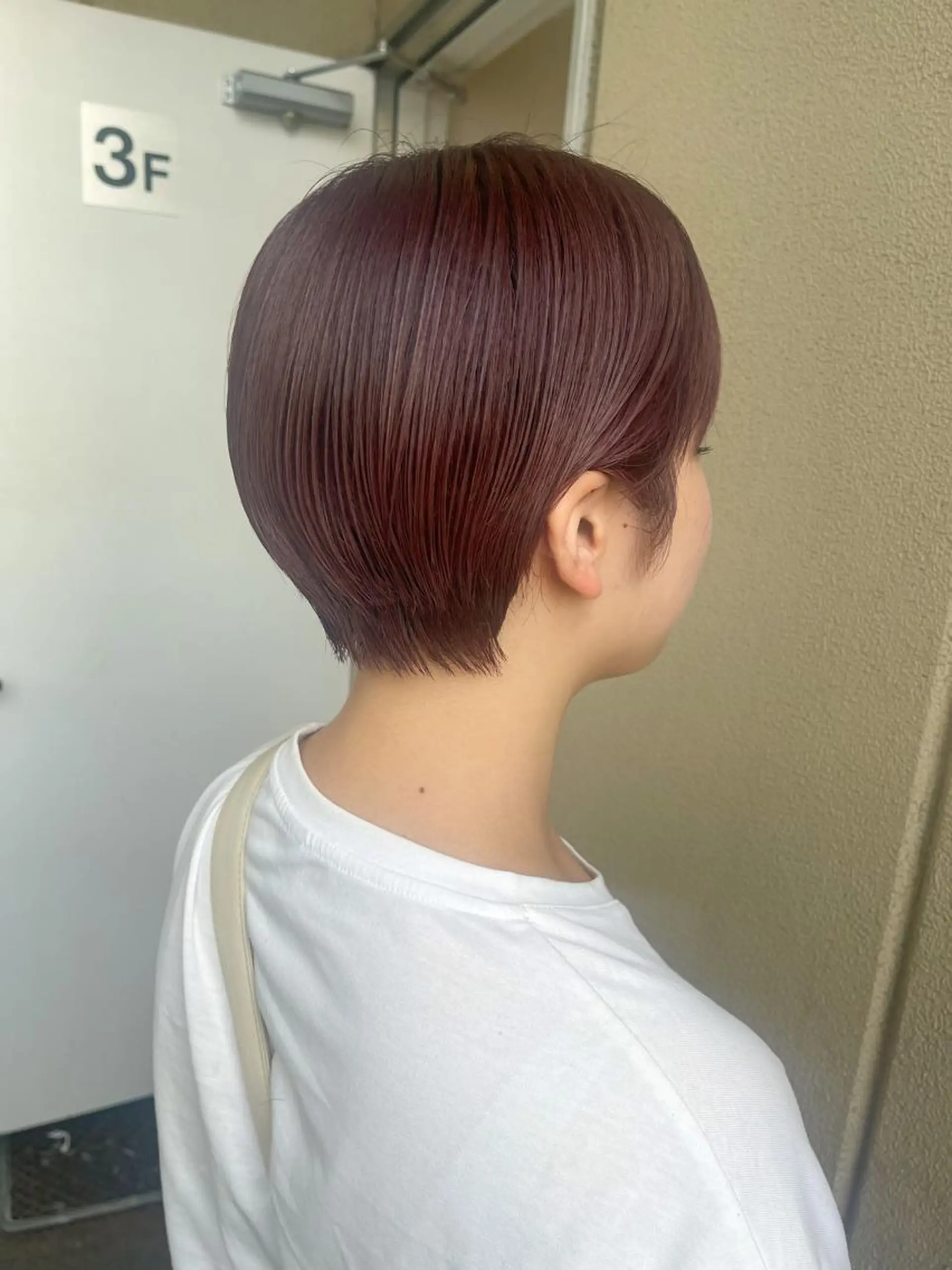 ショート カット ヘアカラー 中村瑞貴 *hairbraceのヘアスタイル