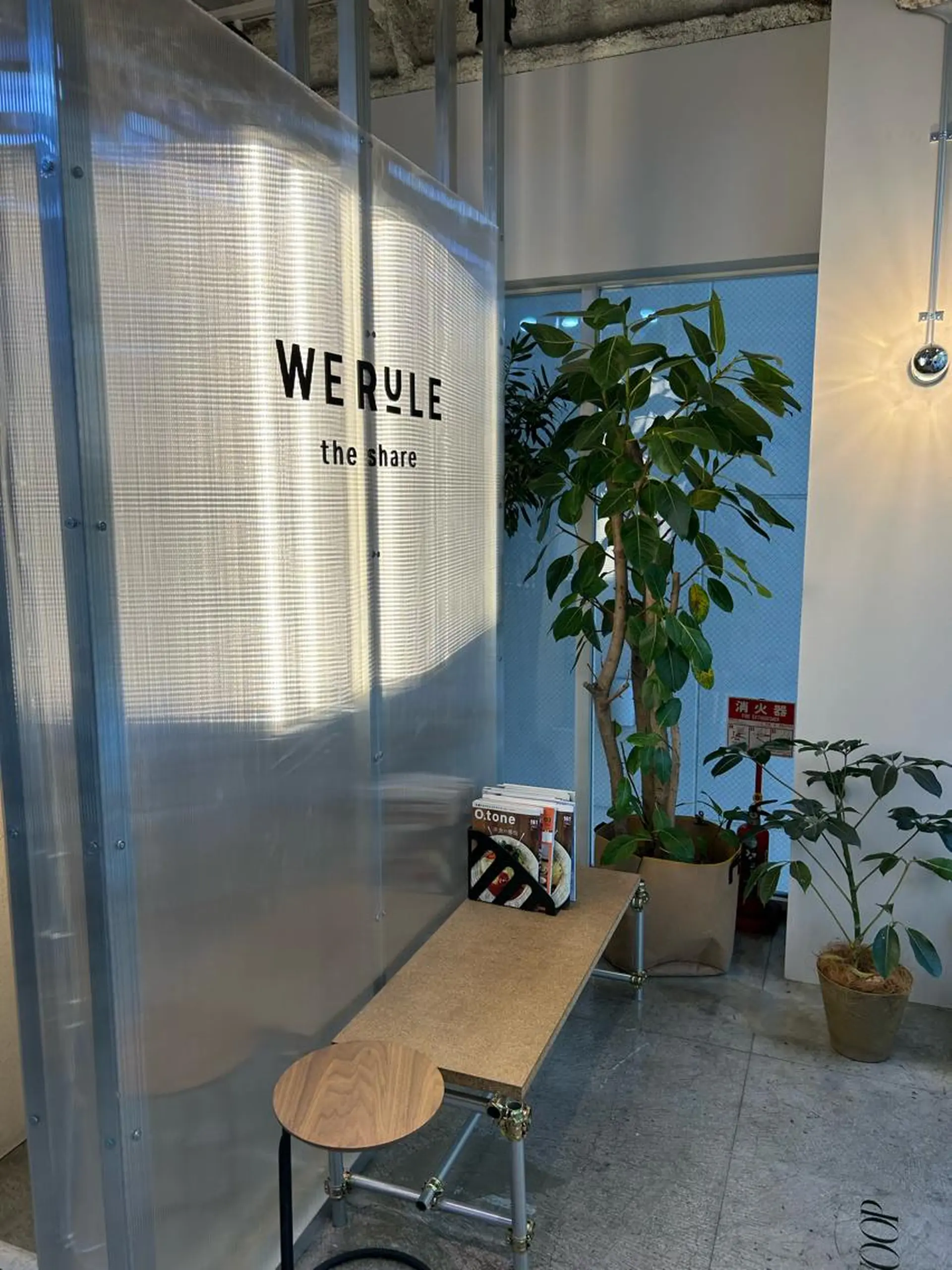 セミロング カラー ヘアカラー トリートメント yori SAPPORO所属・yori/ハイトーン 代表すがわらのその他イメージ