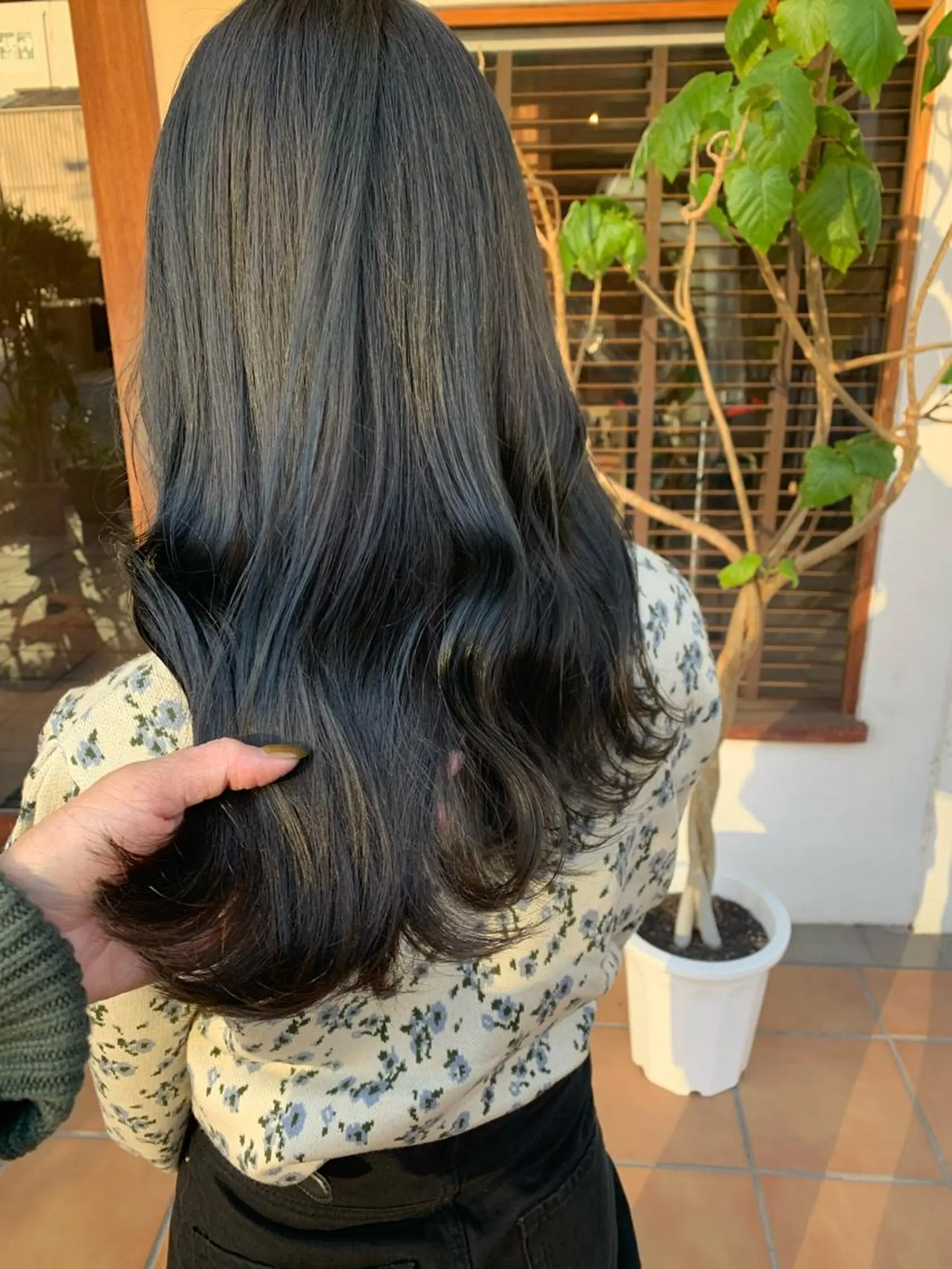 セミロング カラー ヘアアレンジ カット ヘアカラー トリートメント 中津/柔らかカラー/ ナガオ　イズミのヘアスタイル