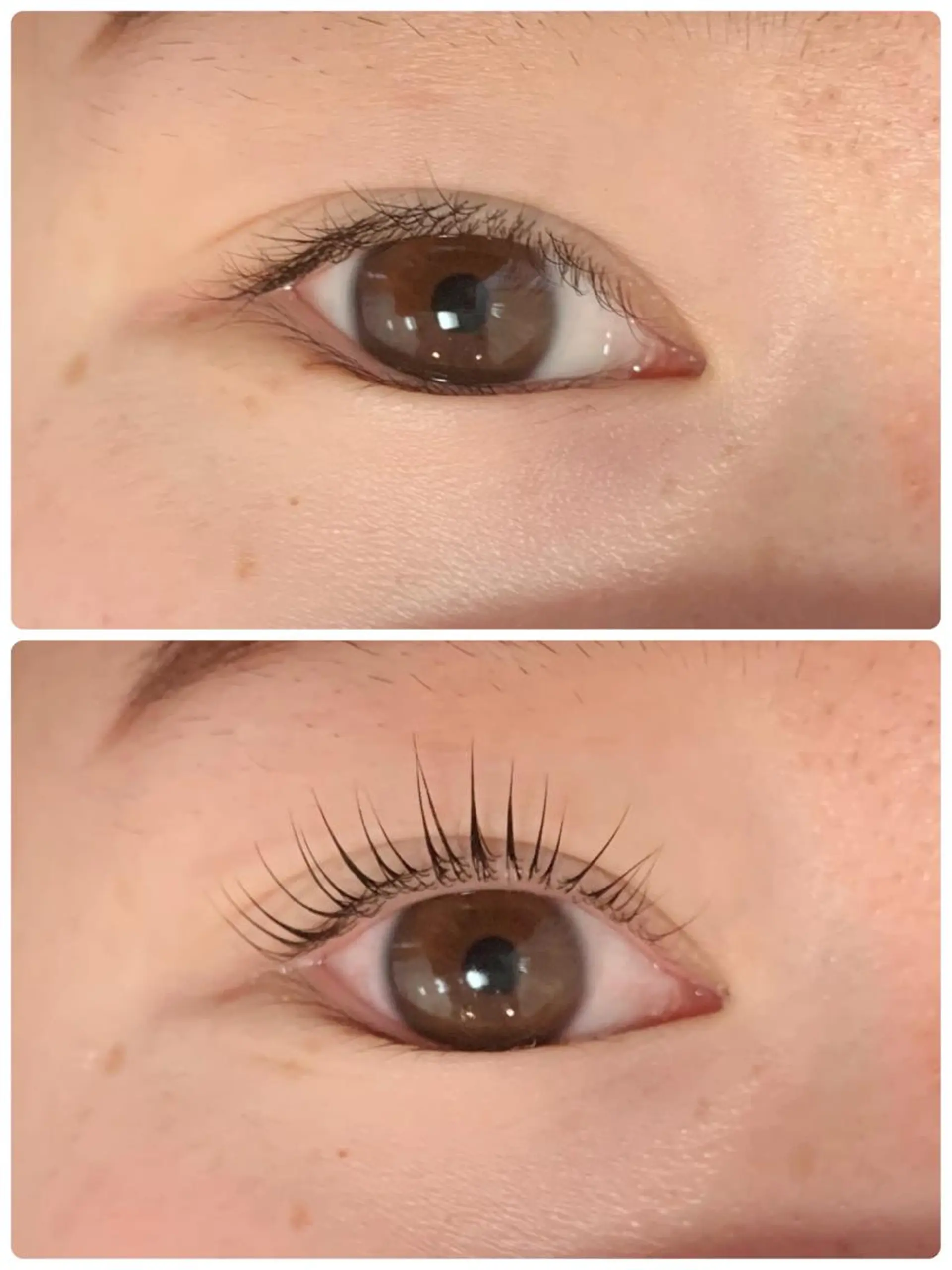 マツエク・マツパ 一重×まつ毛パーマ passion茨木 【風張】のマツエク・マツパデザイン