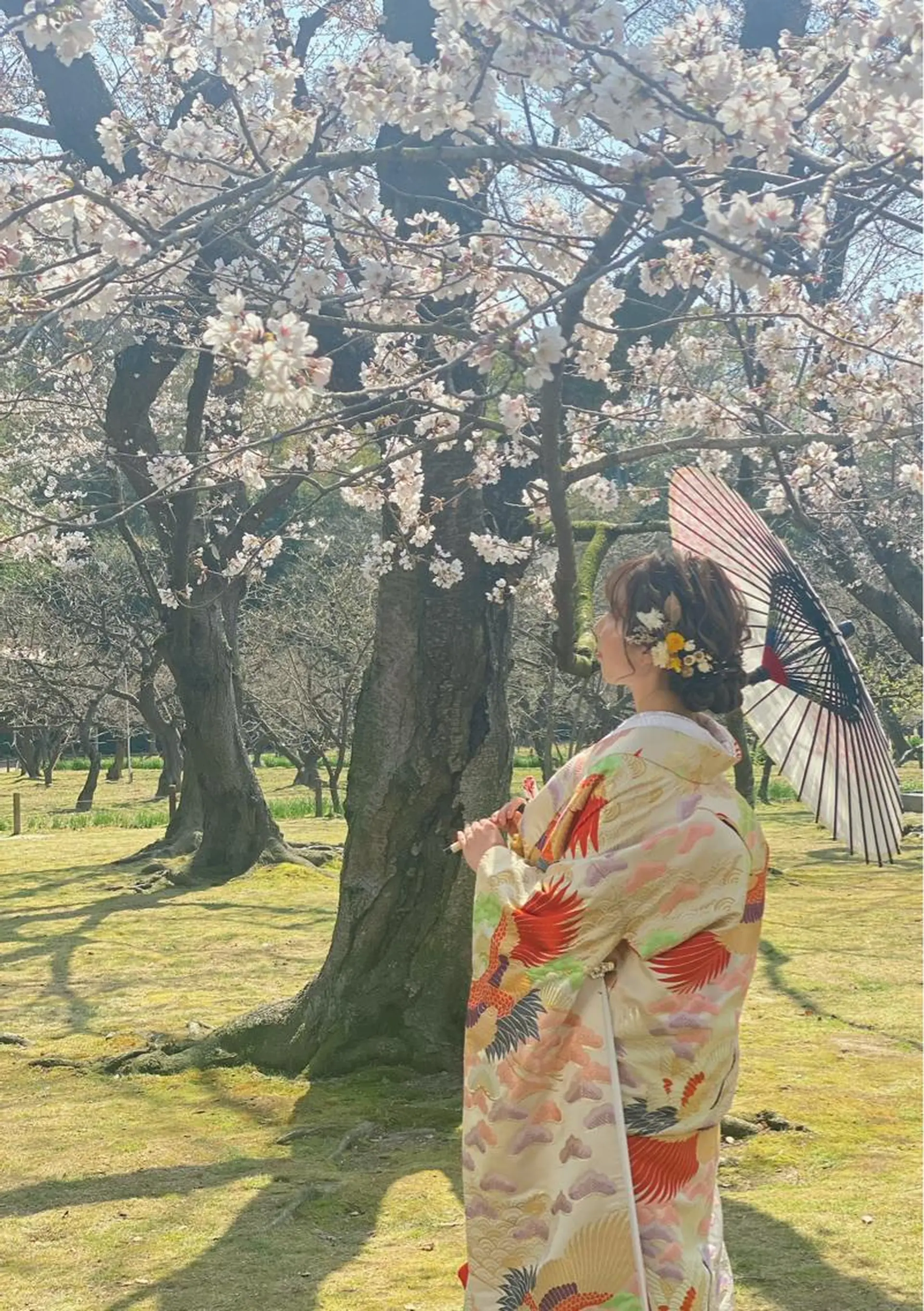 セミロング ヘアアレンジ ヘアセット GRANLUSSO 〜グランルッソ駅前店所属・木口 嘉美のヘアスタイル