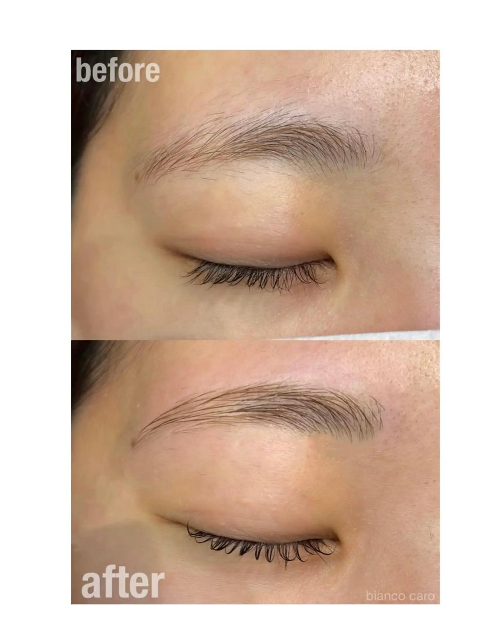 アイブロウ カルフールノア　府中所属・まつげパーマ専門店 /カルフールノア府中の眉毛・アイブロウイメージ
