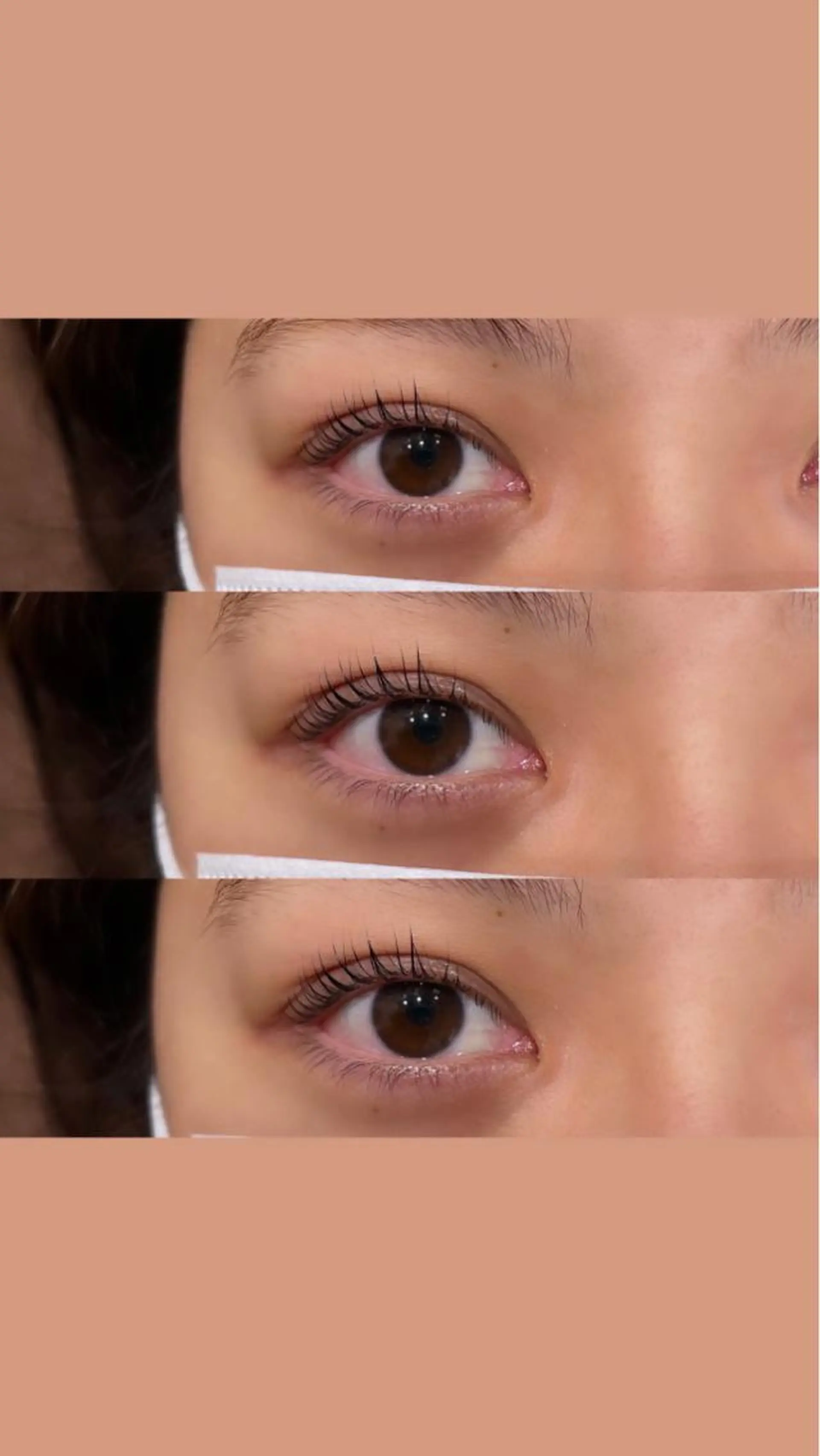 マツエク・マツパ zestKalon 🔗IBUのヘアスタイル