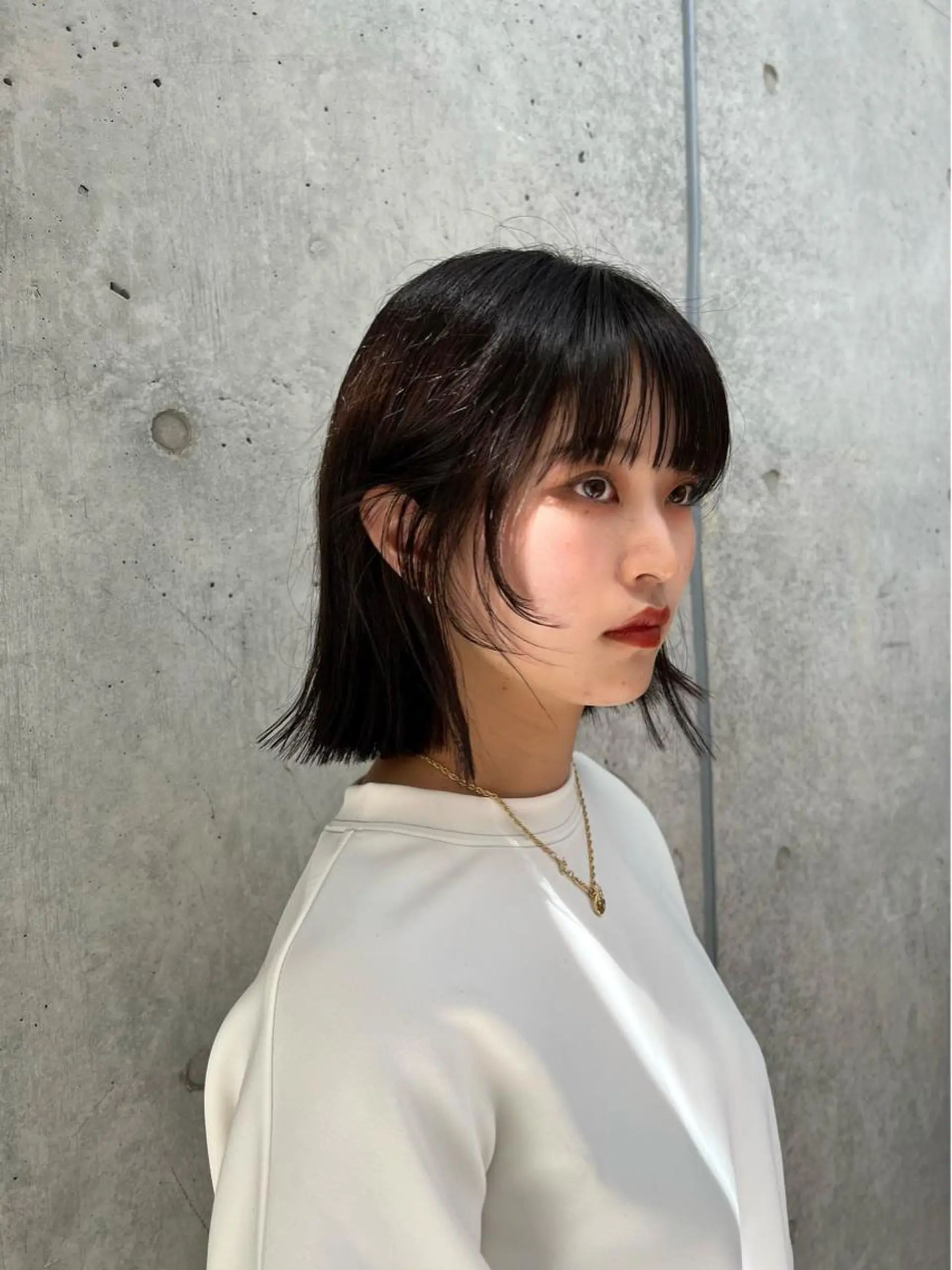 ショート レイヤー専門家 ダブルカラー修のヘアスタイル