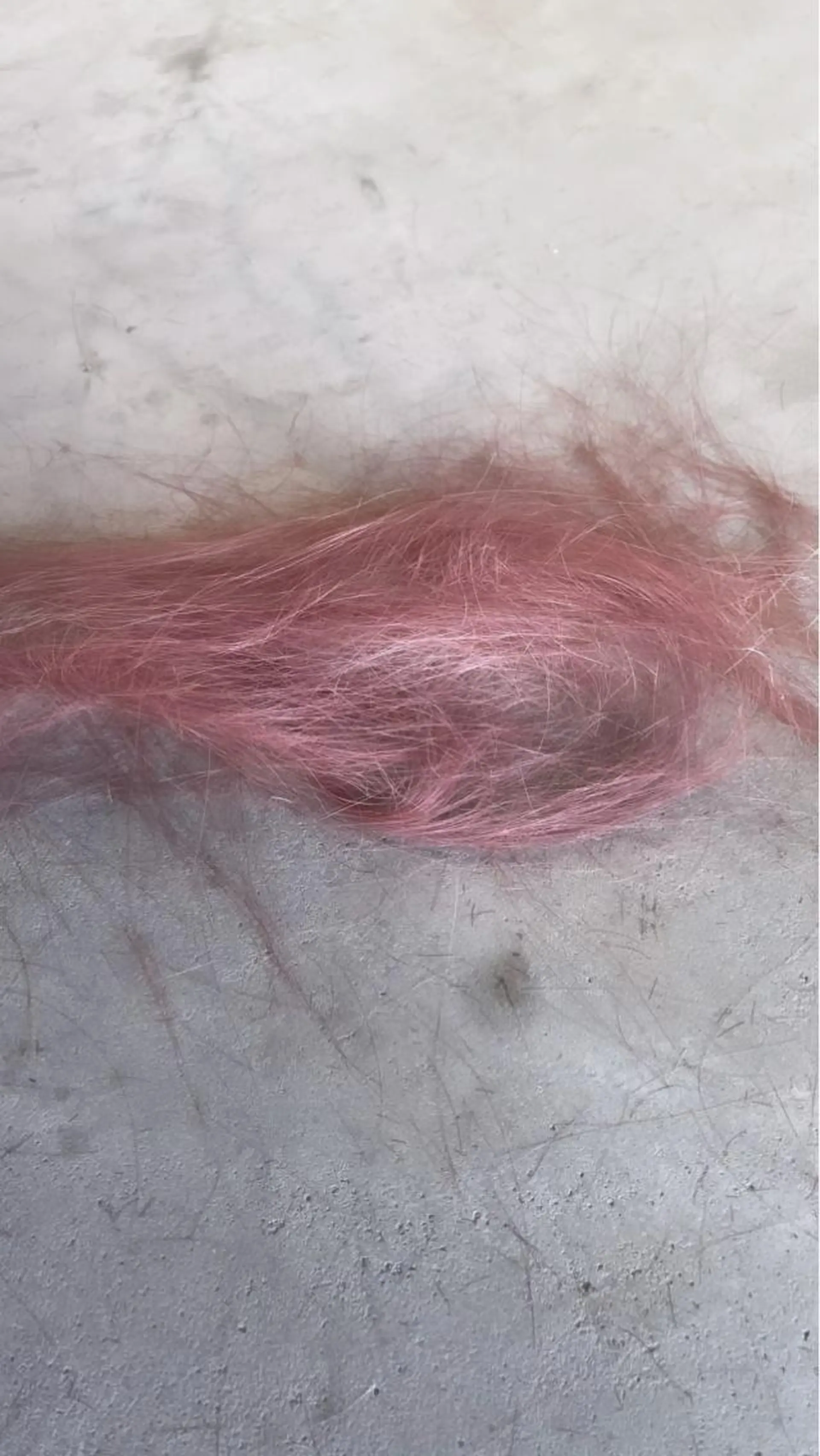 ミディアム カラー PALAN K-Beauty SHINJUKU所属・“ミニモ最高評価獲得 “代表"Kohei"のヘアスタイル