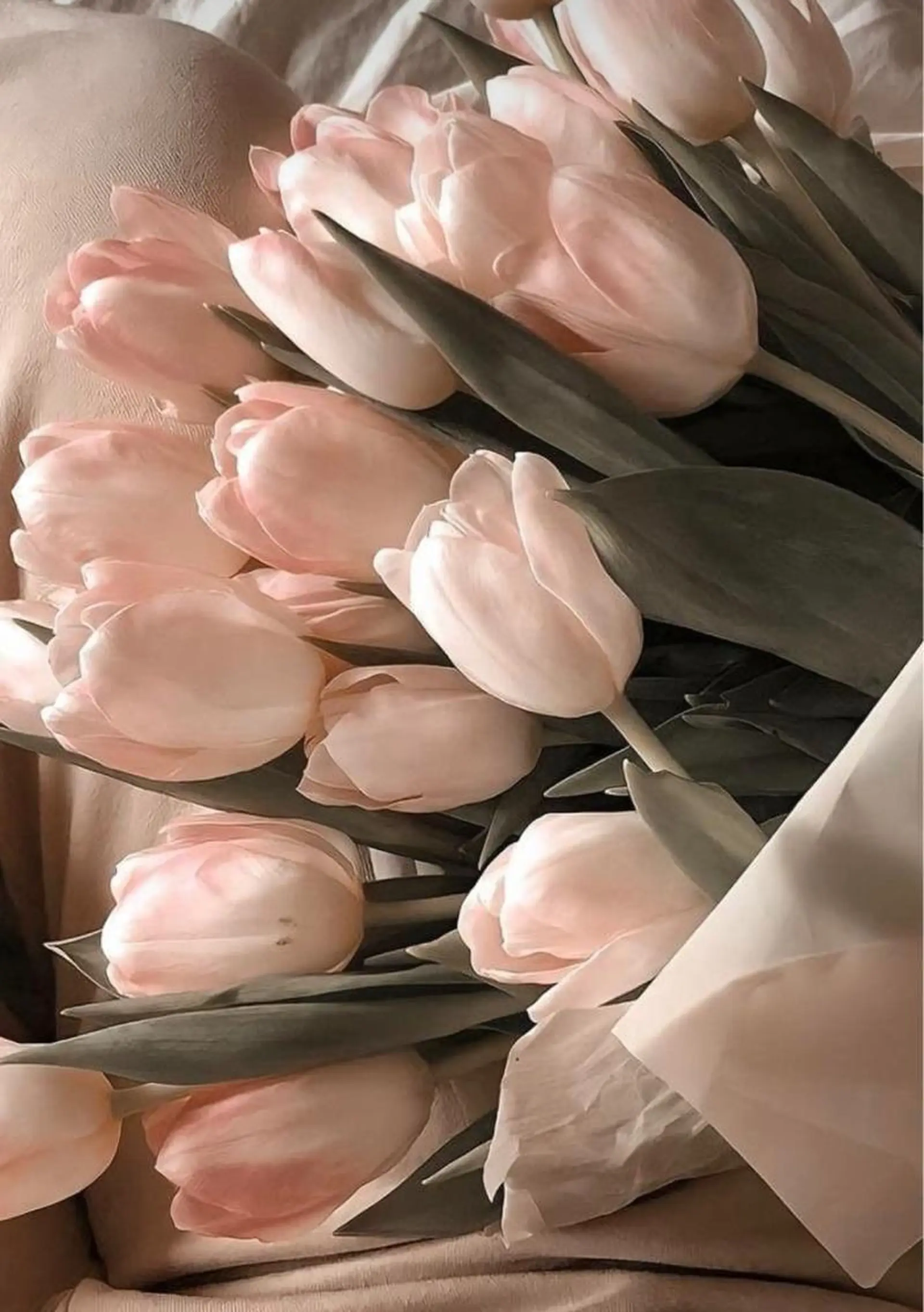 Bless hair &spa所属・🫧縮毛矯正／カラー ／bless松浦🫧のヘアスタイル