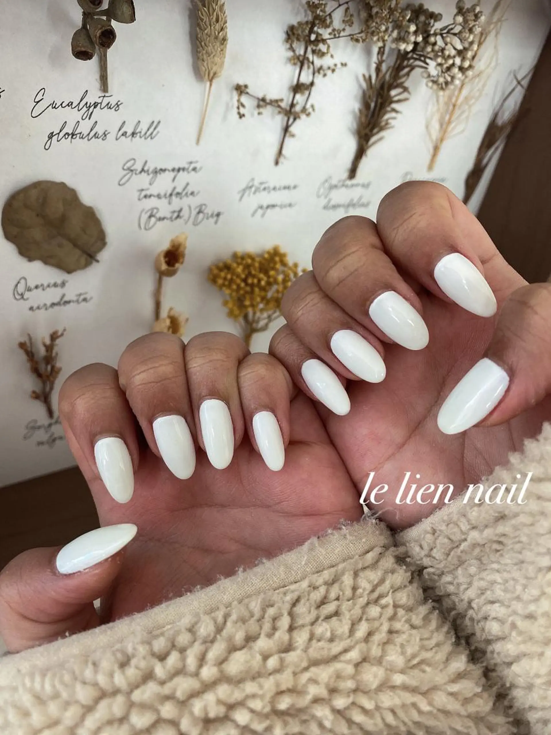 ネイル ワンカラーネイル ホワイト ハンドネイル le lien nailのネイルデザイン