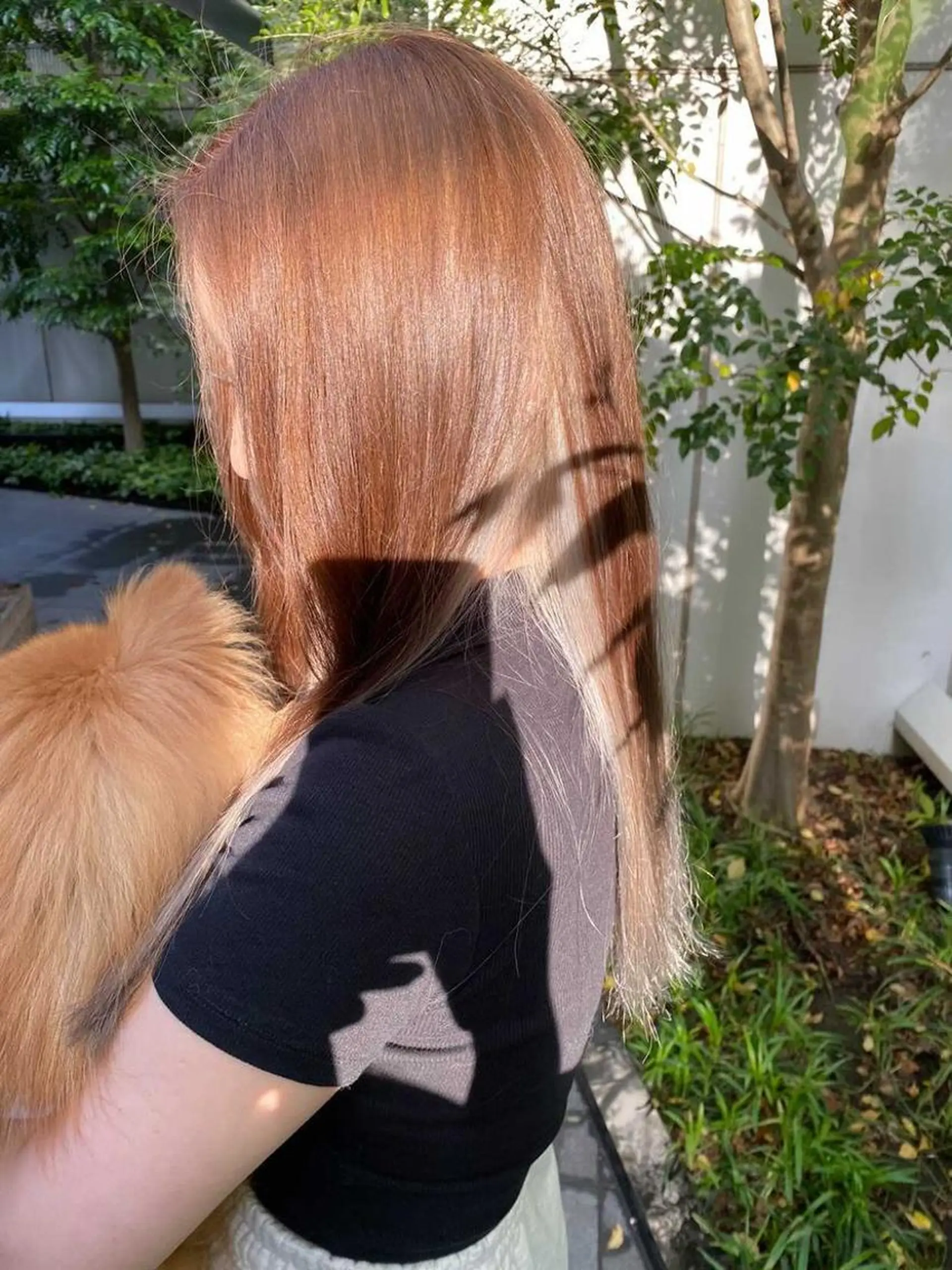 セミロング カラー 🎀ハイトーン/レイ ヤー/Reina🎀のヘアスタイル