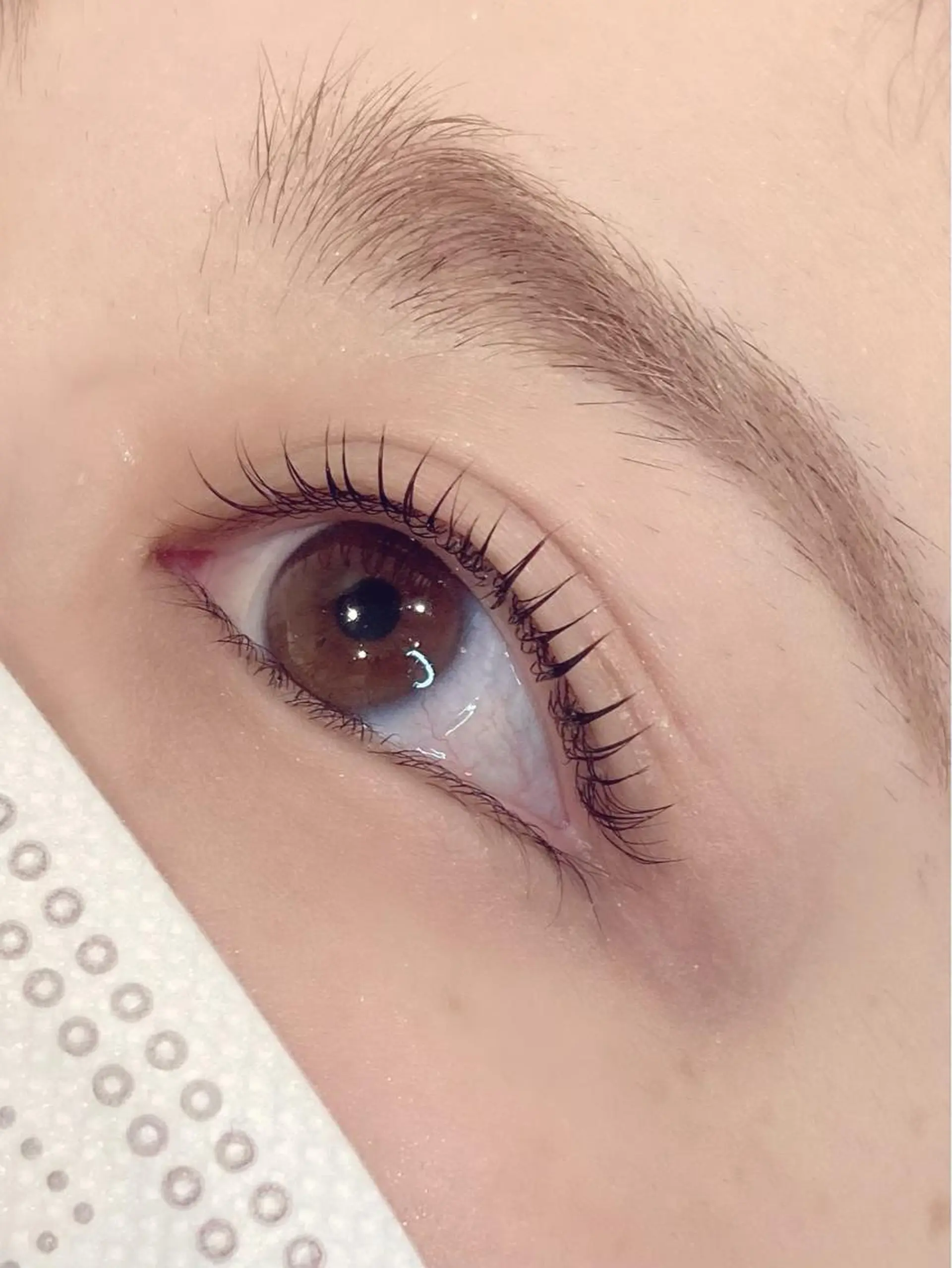 マツエク・マツパ ケラチンラッシュリフト マツパ EYELASHSALON  PINO所属・eyelash salon PINOのマツエク・マツパデザイン