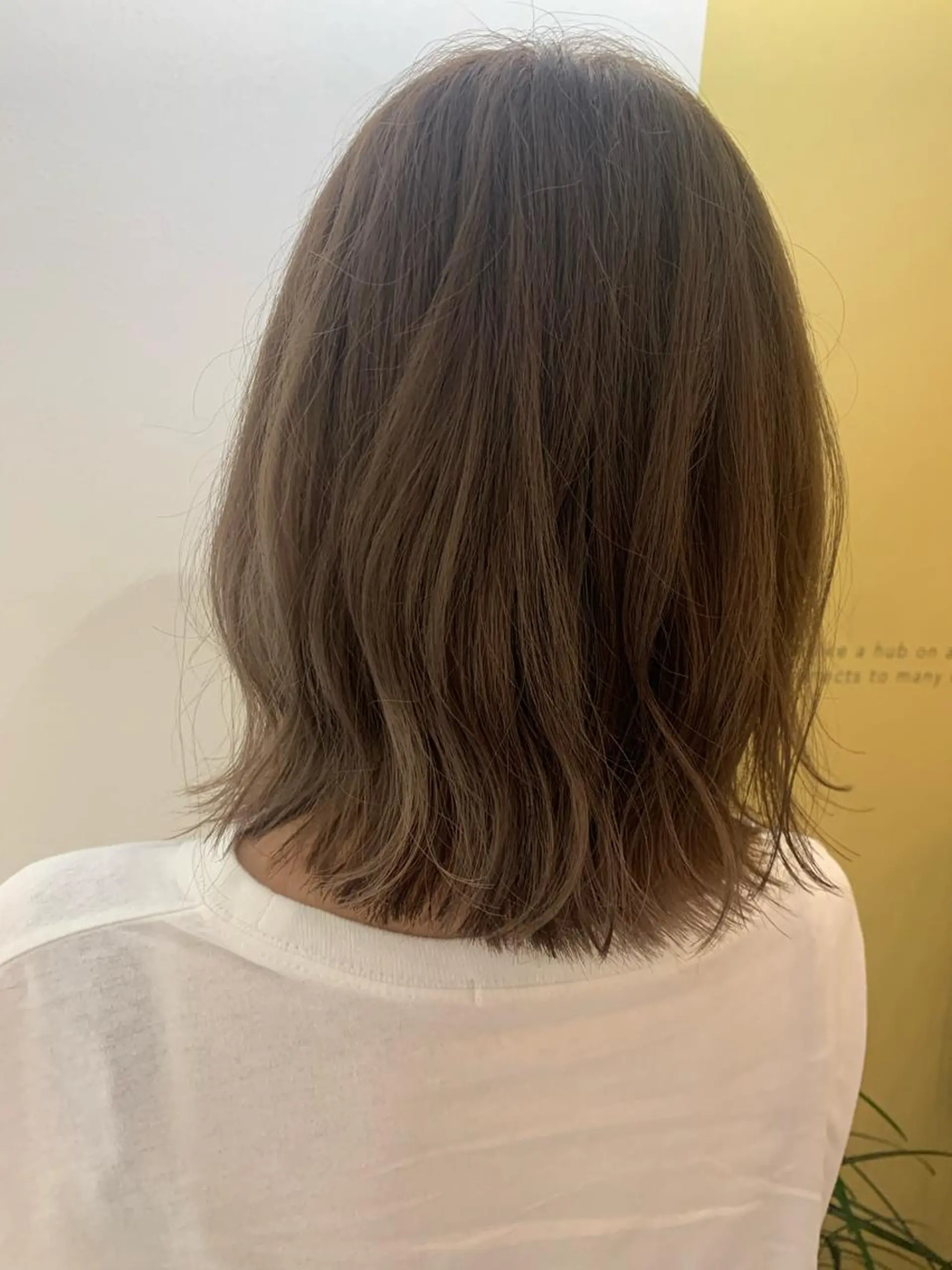 ミディアム カラー ブリーチ 透明感カラー グレージュ カット ヘアカラー トリートメント hub hair レイヤー/透明感のヘアスタイル