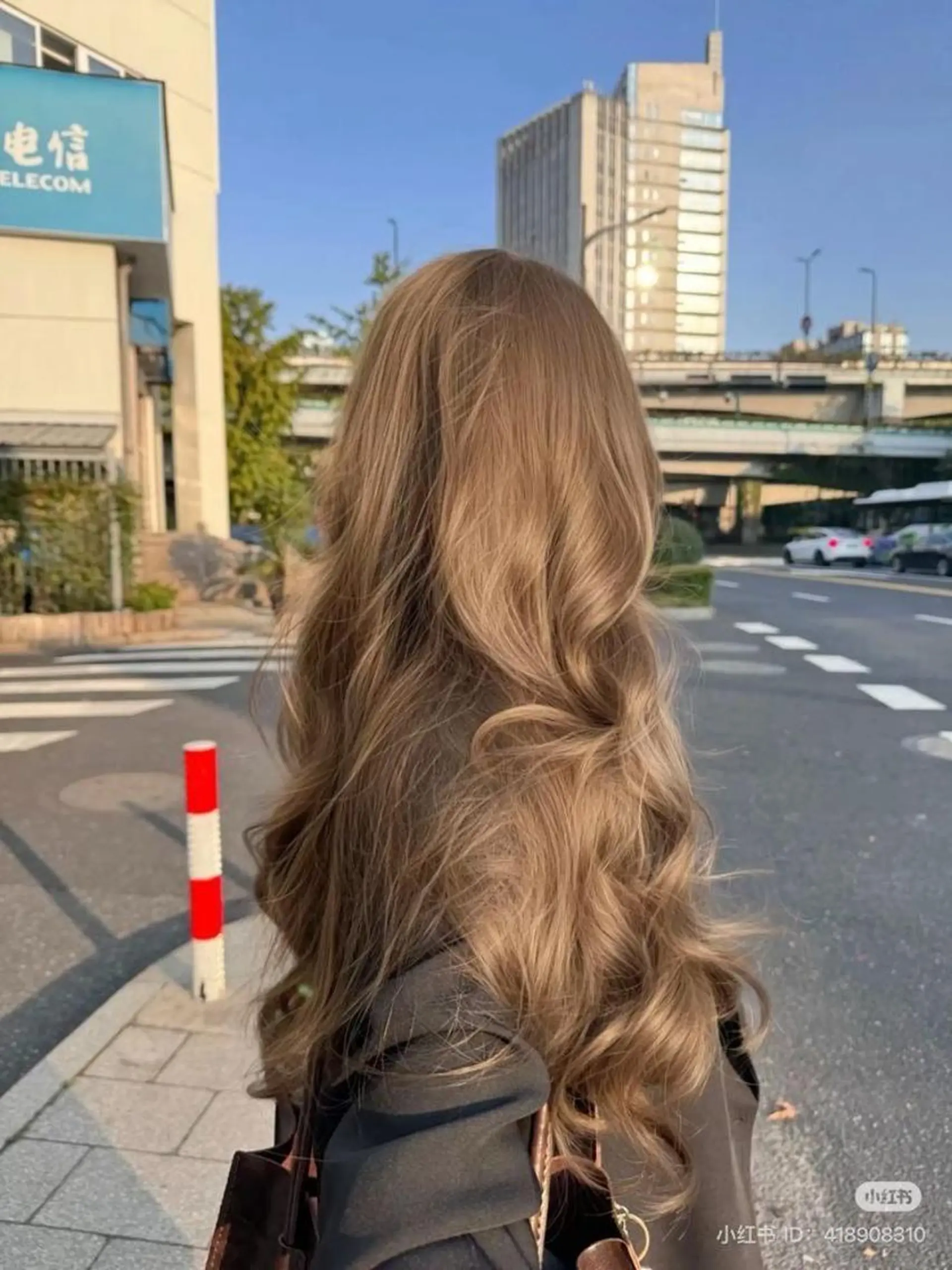 ロング カラー ヘアアレンジ 🥨ベージュ/グレー ジュ/moe🥨のヘアスタイル