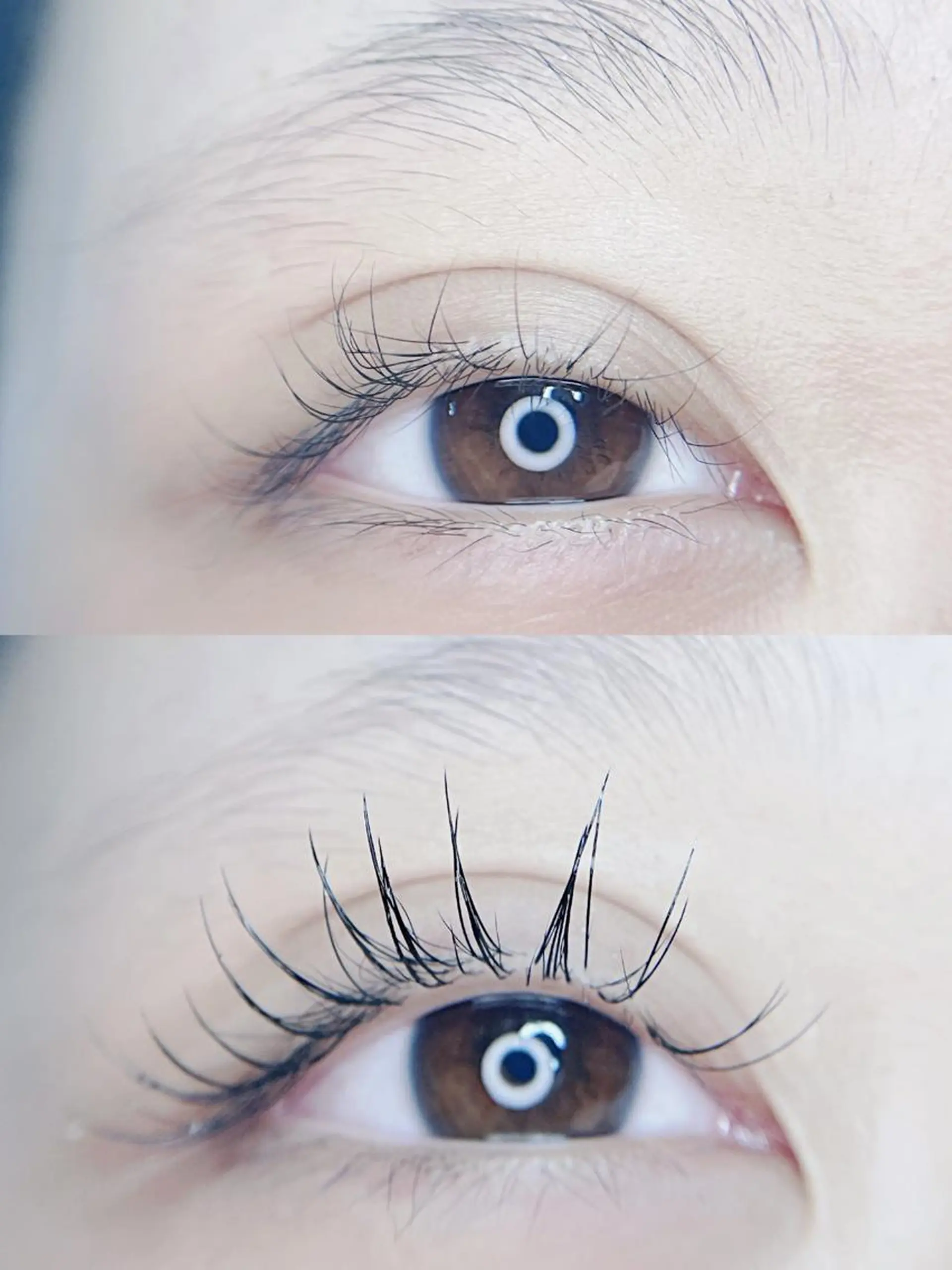 マツエク・マツパ foisalon 大久保店のマツエク・マツパデザイン