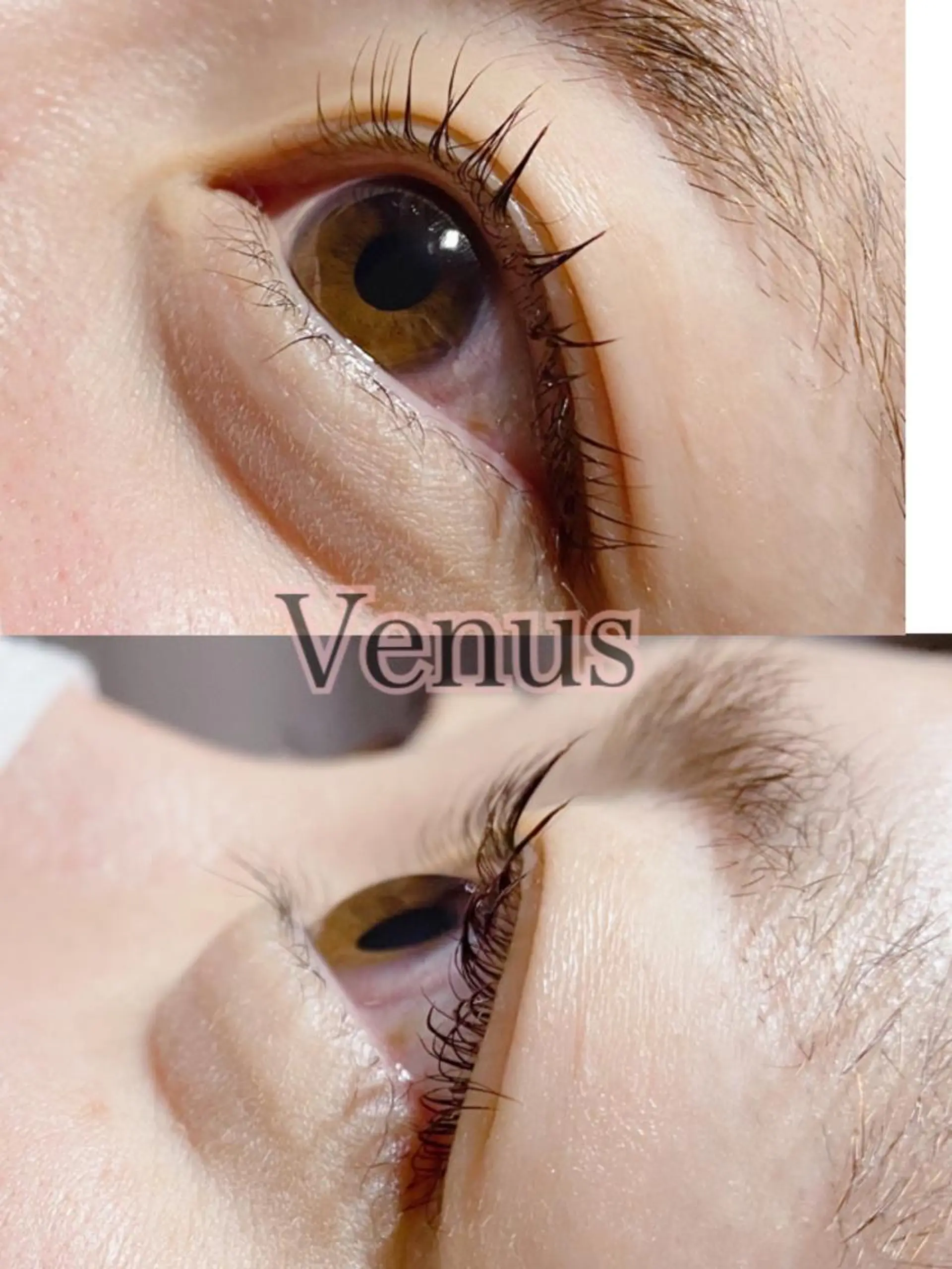 マツエク・マツパ Chou2jip 竹田麗のマツエク・マツパデザイン