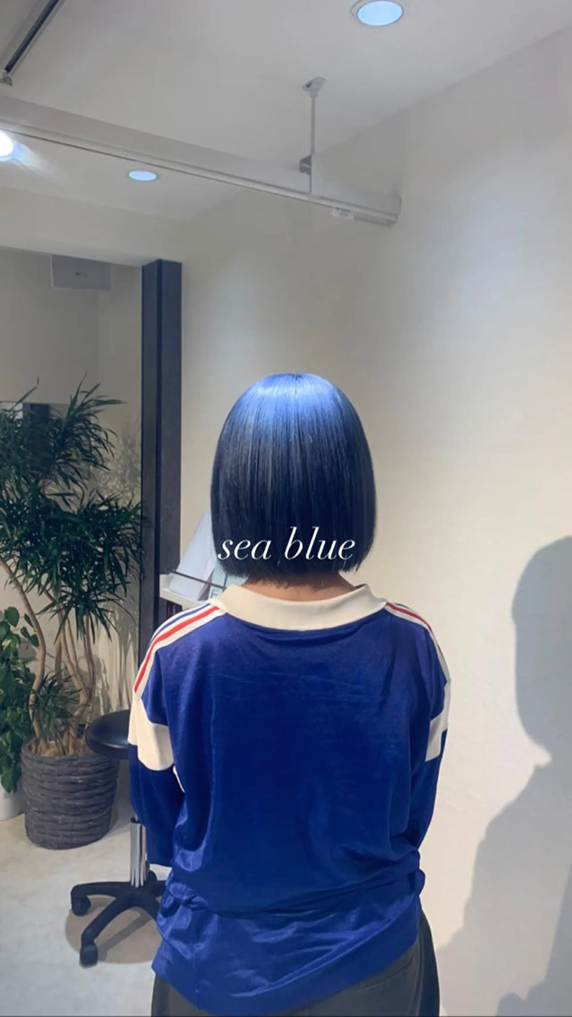ミディアム カラー ブルーカラー ダブルカラー ヘアカラー 縮毛矯正とブリーチ /杉村凜汰郎のヘアスタイル