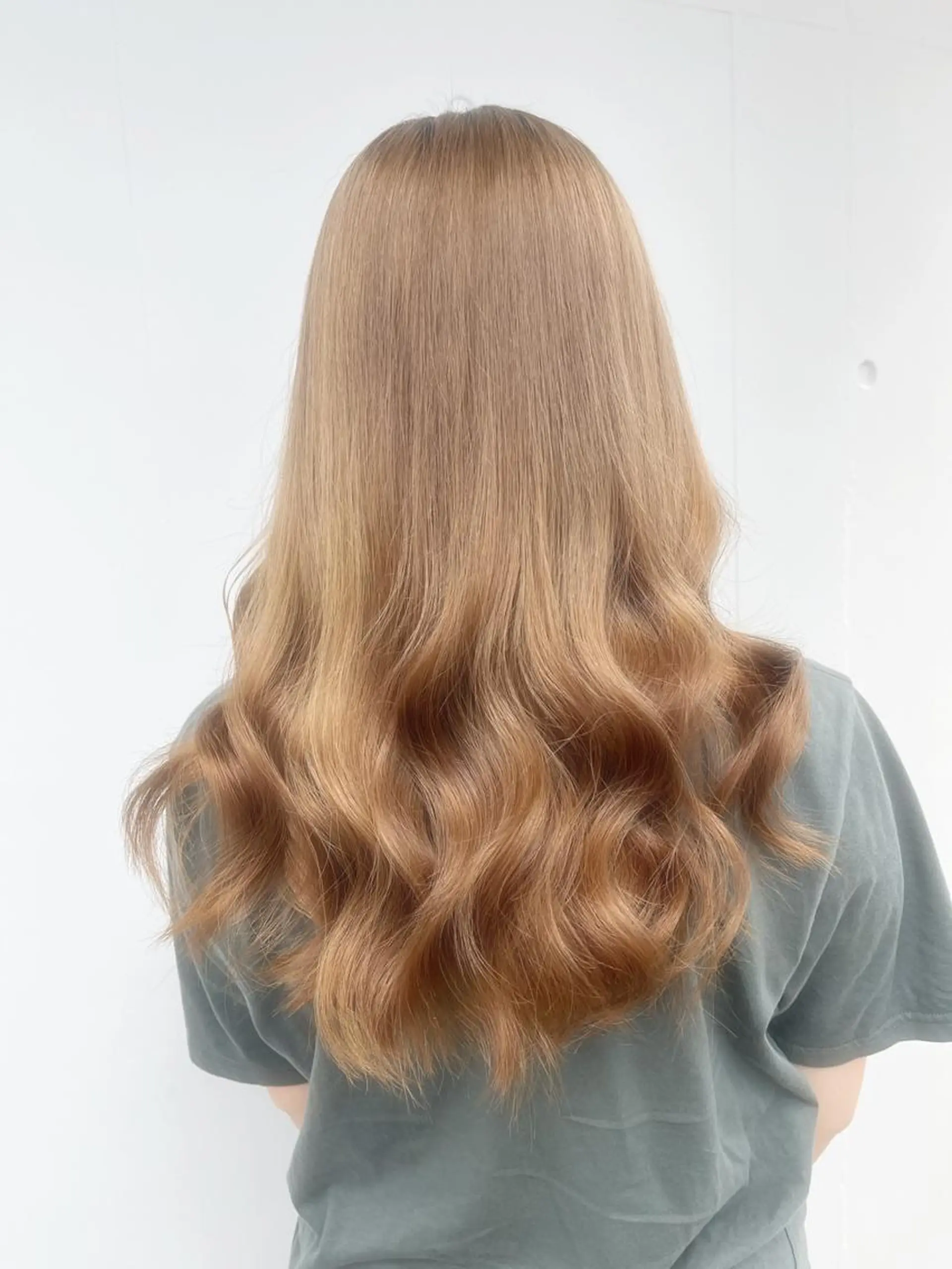 ロング カラー アディクシーカラー ベージュカラー 黒髪 ブリーチ ブルーカラー ヘアカラー 藤澤 夏実/インナーカラーのヘアスタイル