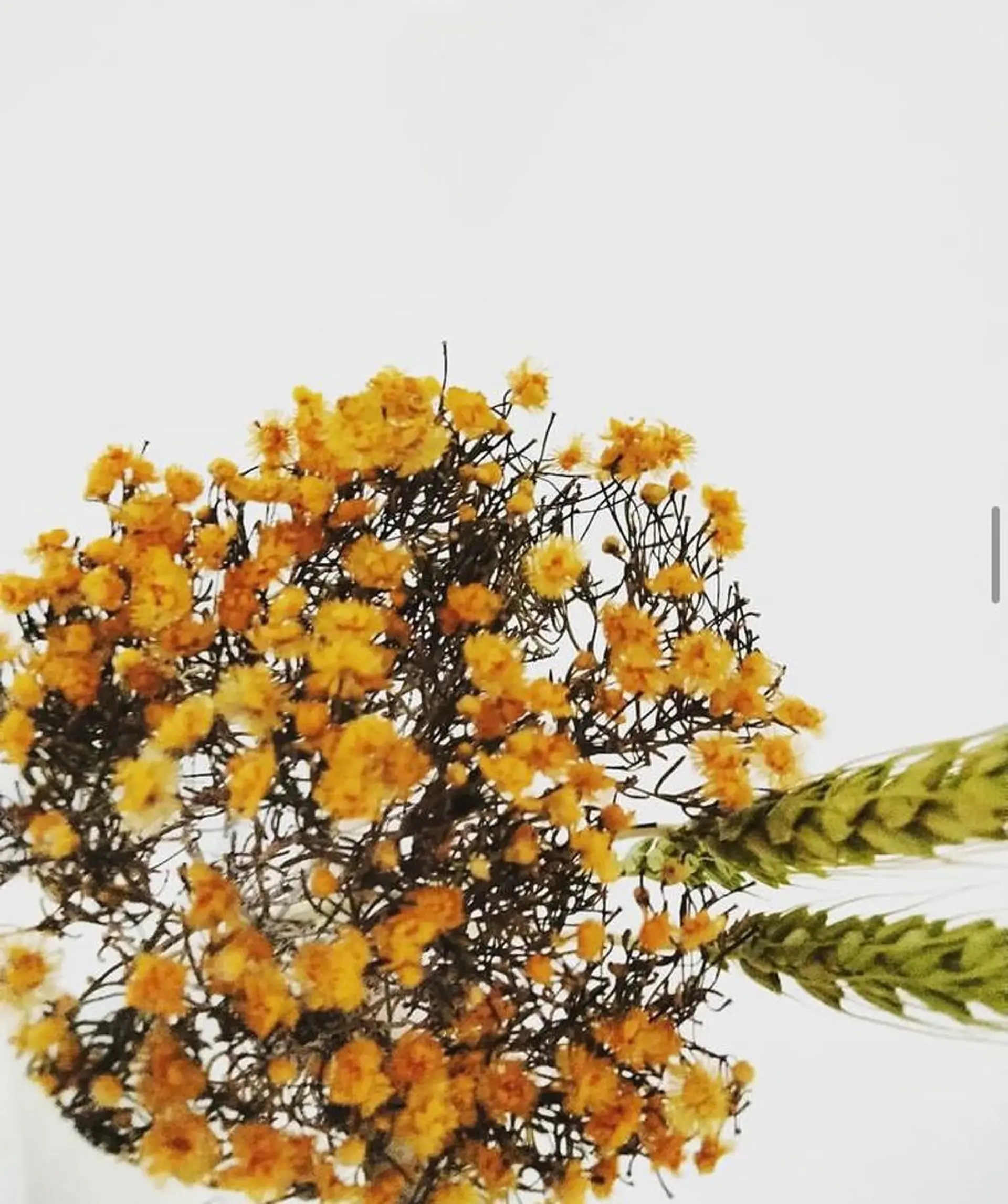 ネイルサロンアリューム所属・ネイルサロン アリュームのネイルデザイン