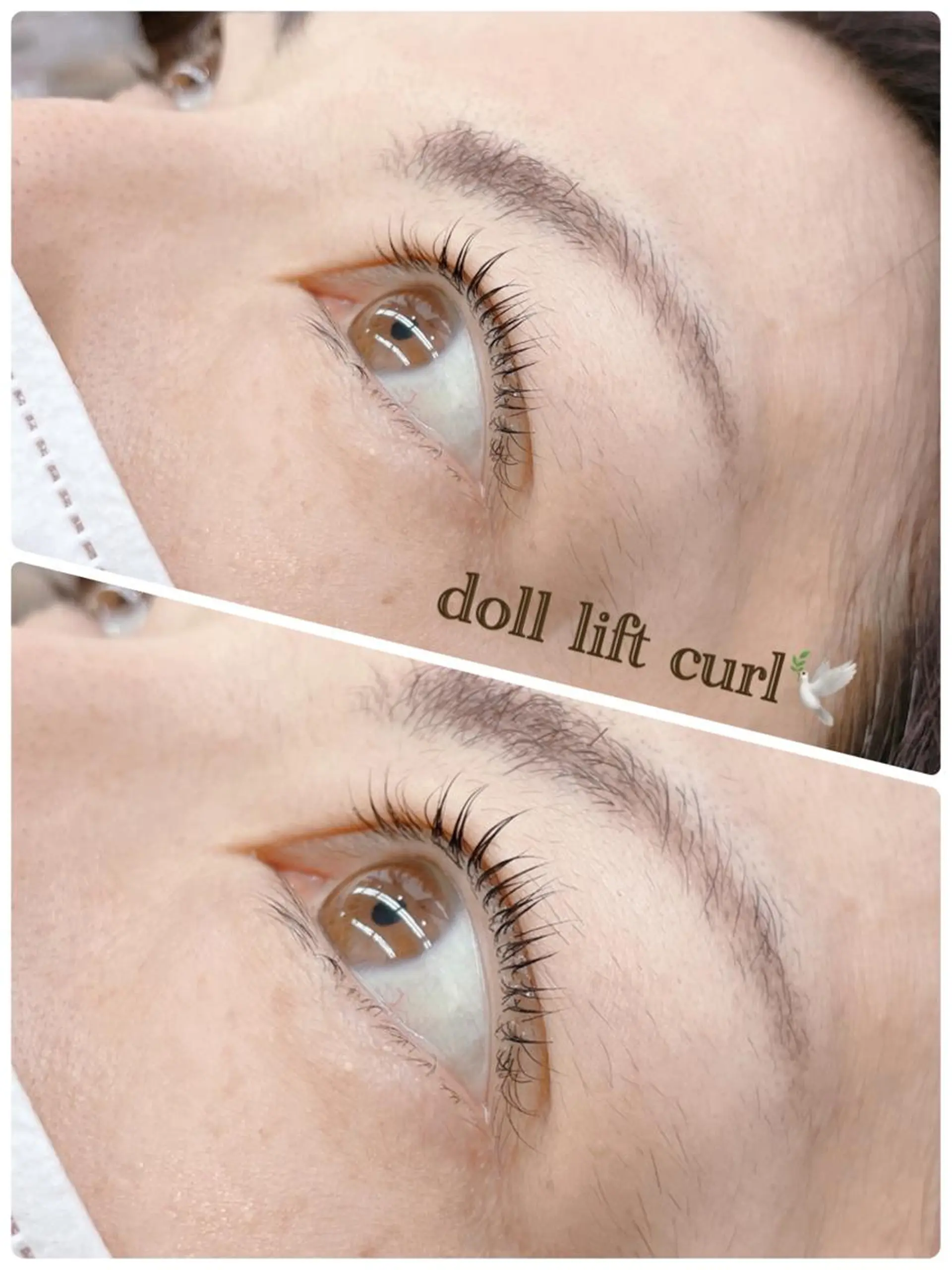 マツエク・マツパ Cカール WE RULE 札幌店 【ウィールール 札幌店】所属・✨️大人ショート 髙橋朋花のヘアスタイル