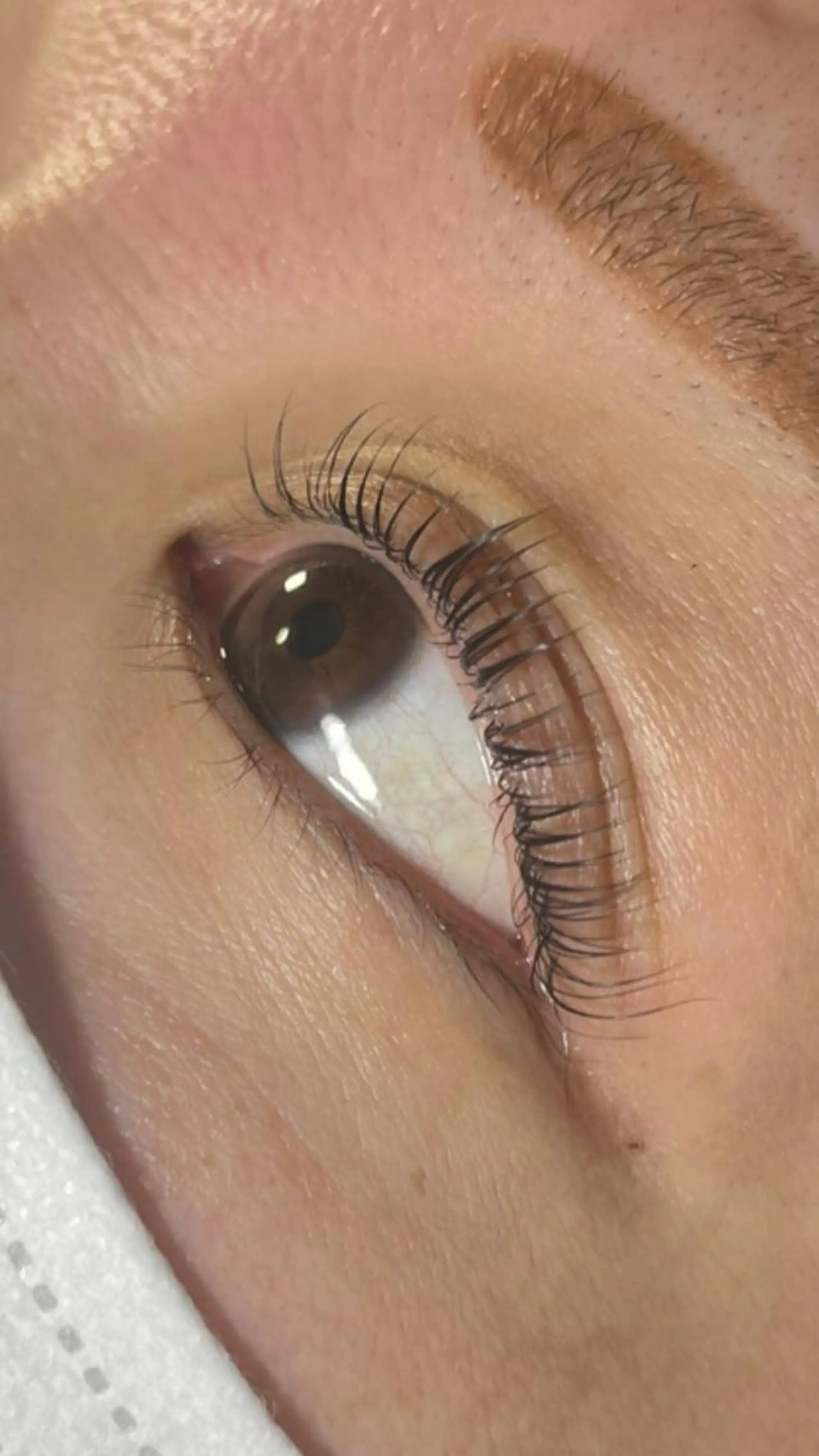 マツエク・マツパ TReiS所属・TReiS eyelashのマツエク・マツパデザイン