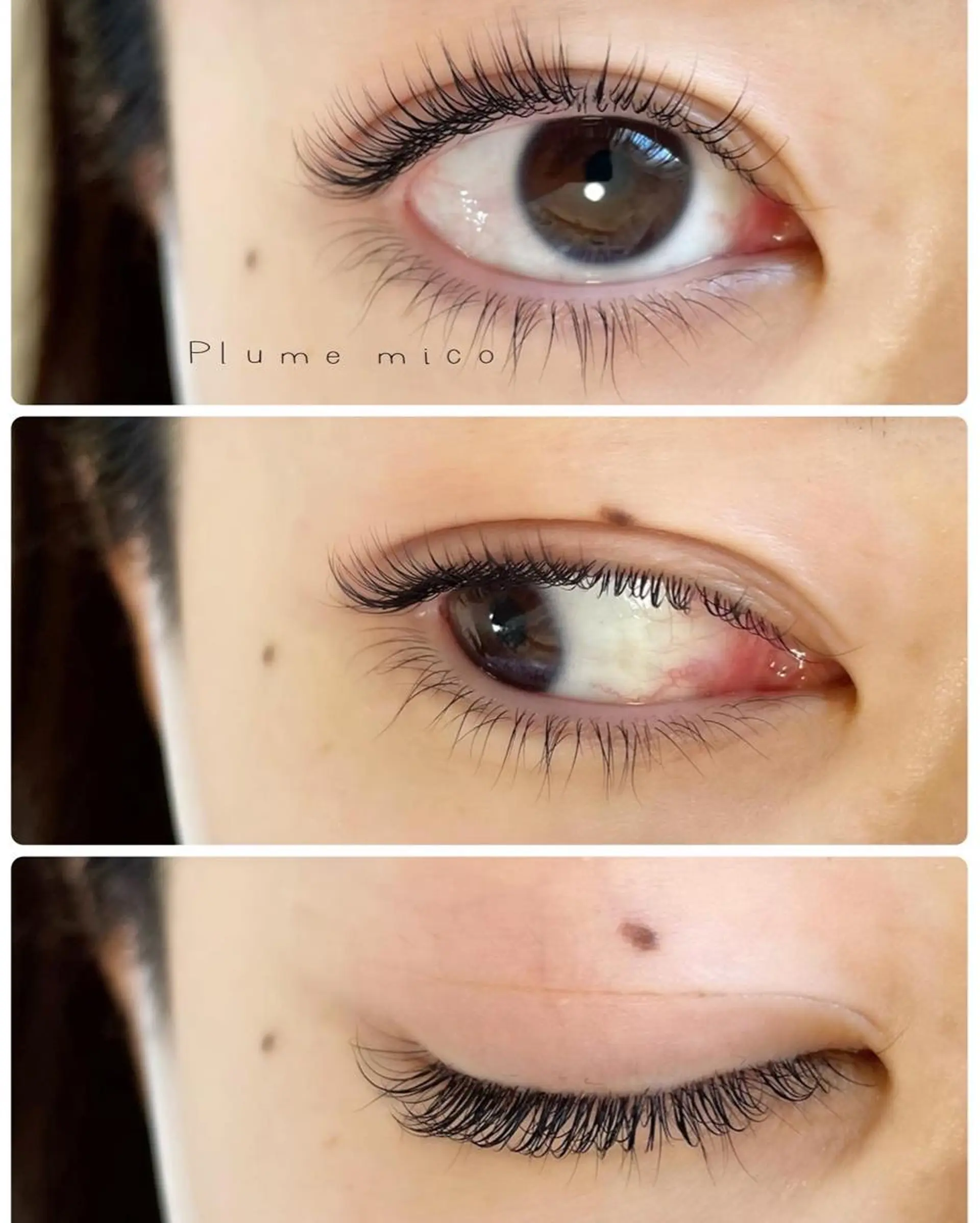 マツエク・マツパ マツパ Plume micoのマツエク・マツパデザイン