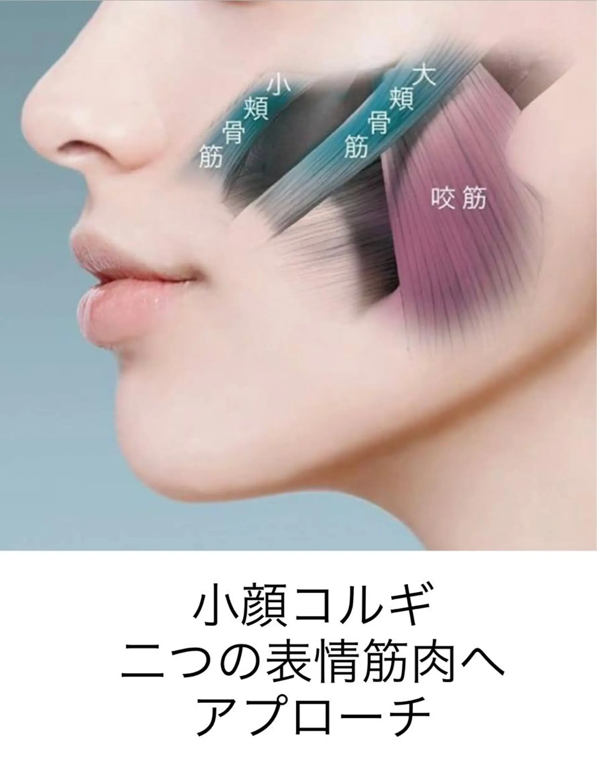 エステ 【ハイパーナイフ痩身&小顔コルギ&ハーブピーリング】K-Beauty　東新宿所属・kーbeauty痩身 フェイシャルのエステ・リラクイメージ