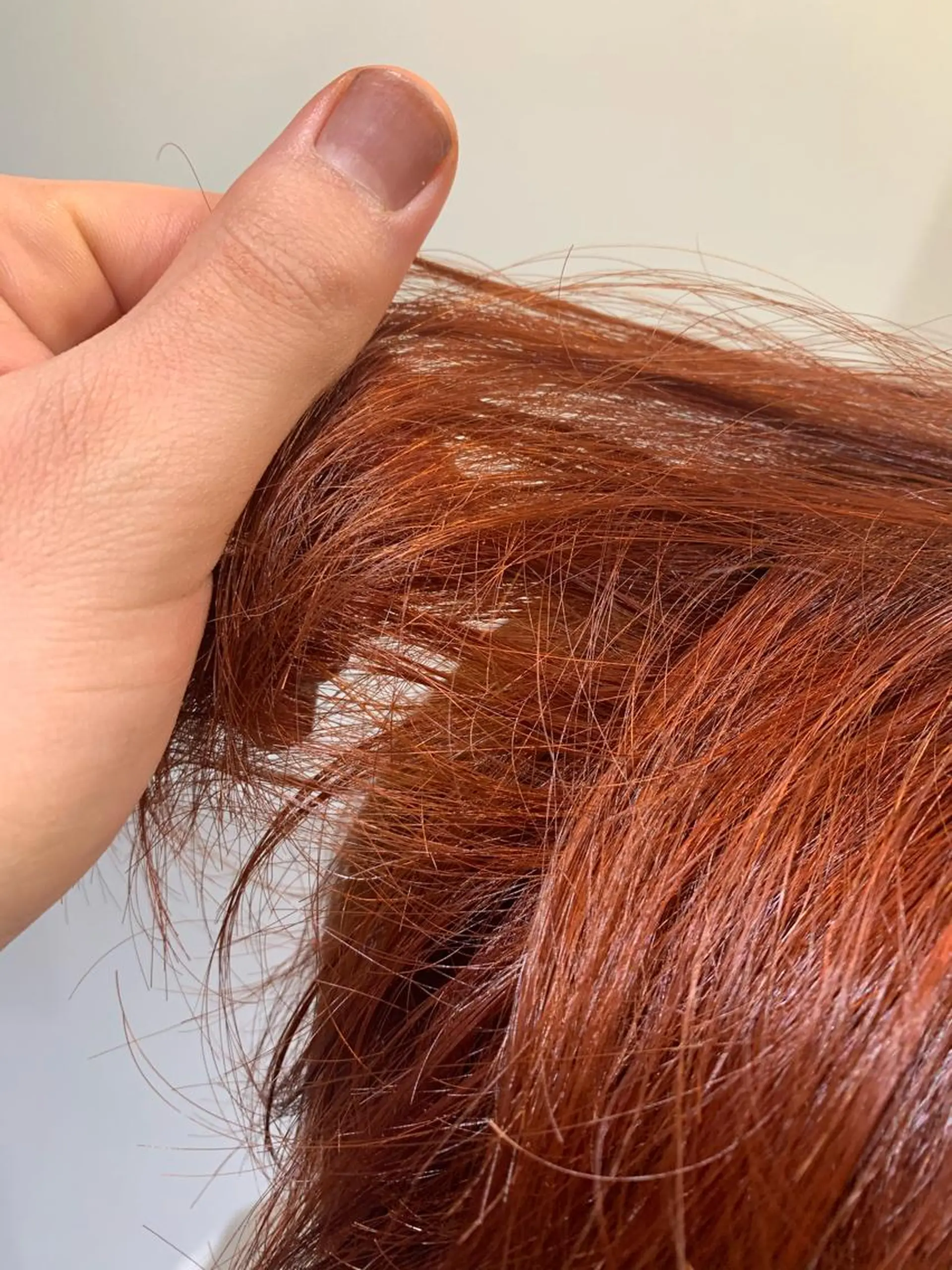 カラー オレンジ 鈴木 真司のヘアスタイル