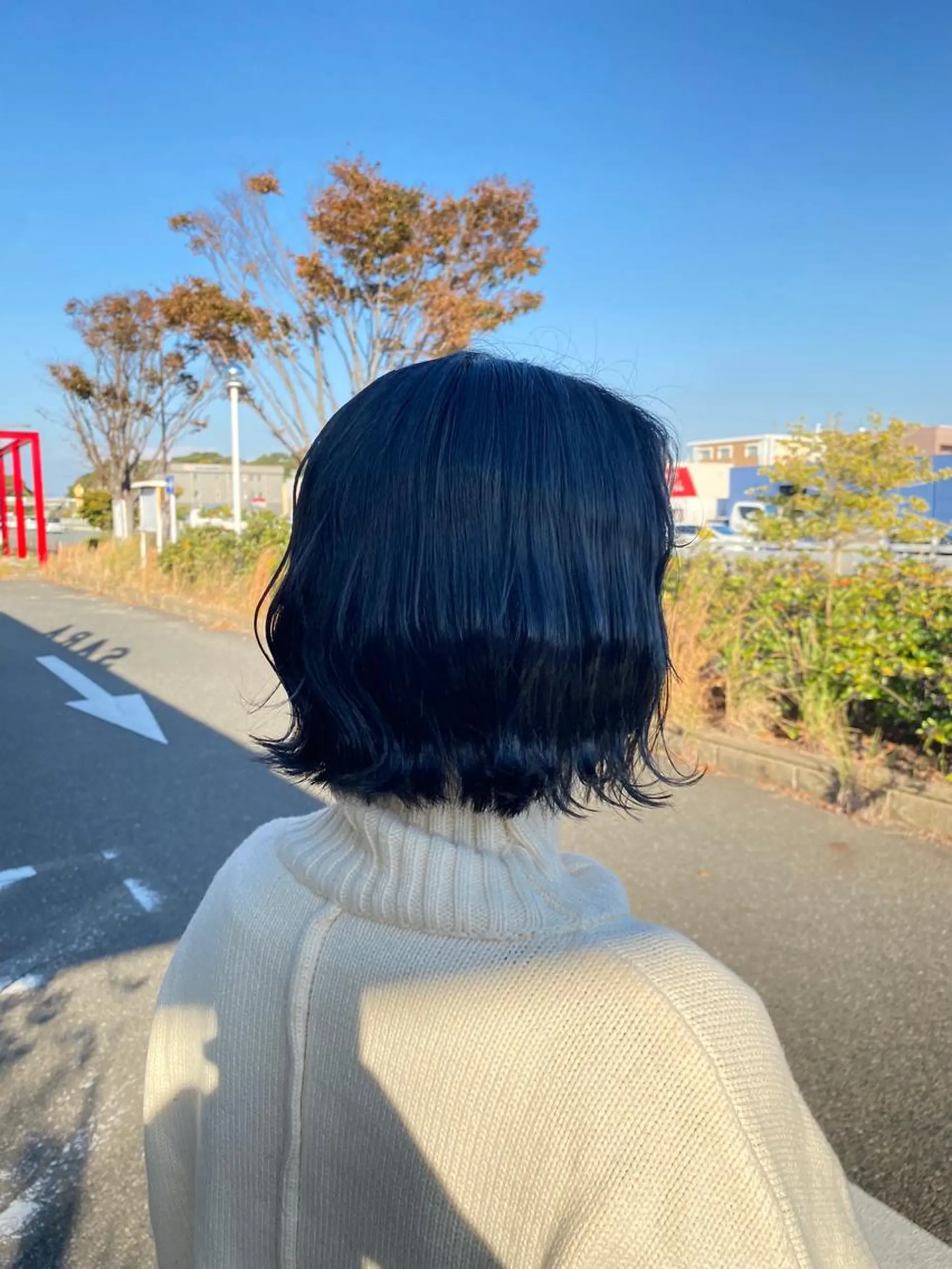 ショート カラー ブルーカラー ボブ カット 鹿児島 聖来のヘアスタイル