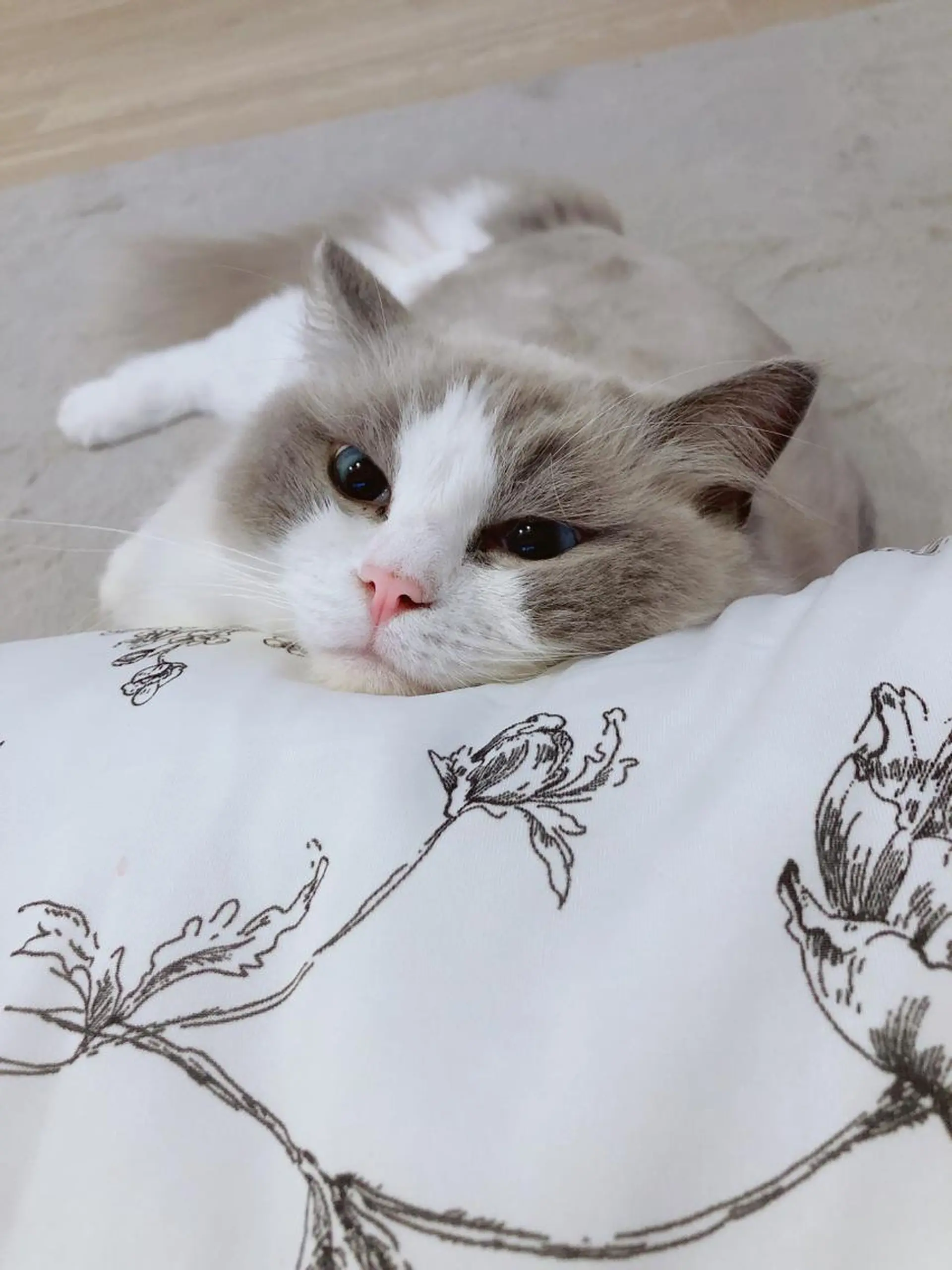 ネイル 💕🐰うさみみ🐰 💕のネイルデザイン