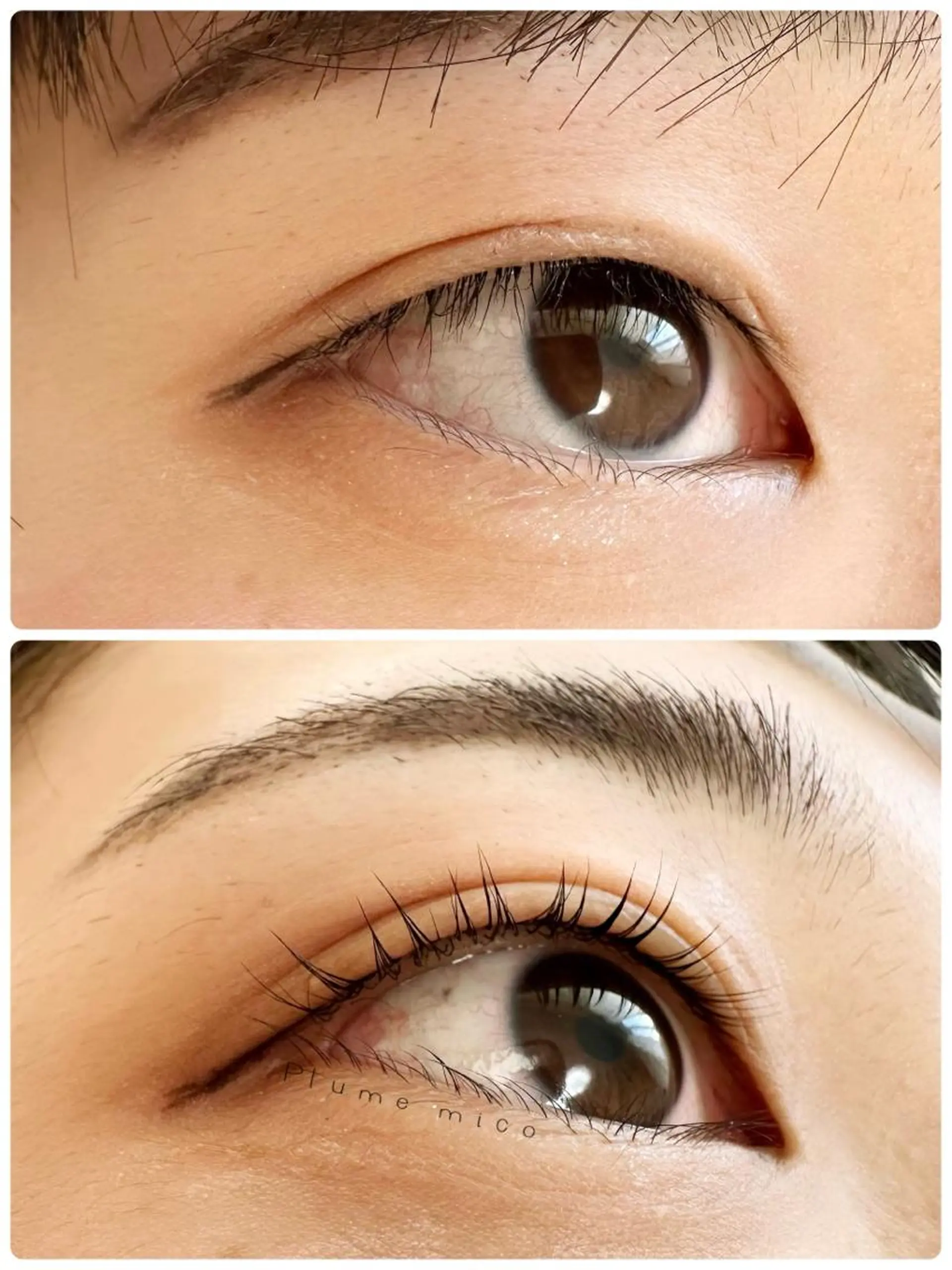 マツエク・マツパ マツパ Plume micoのマツエク・マツパデザイン