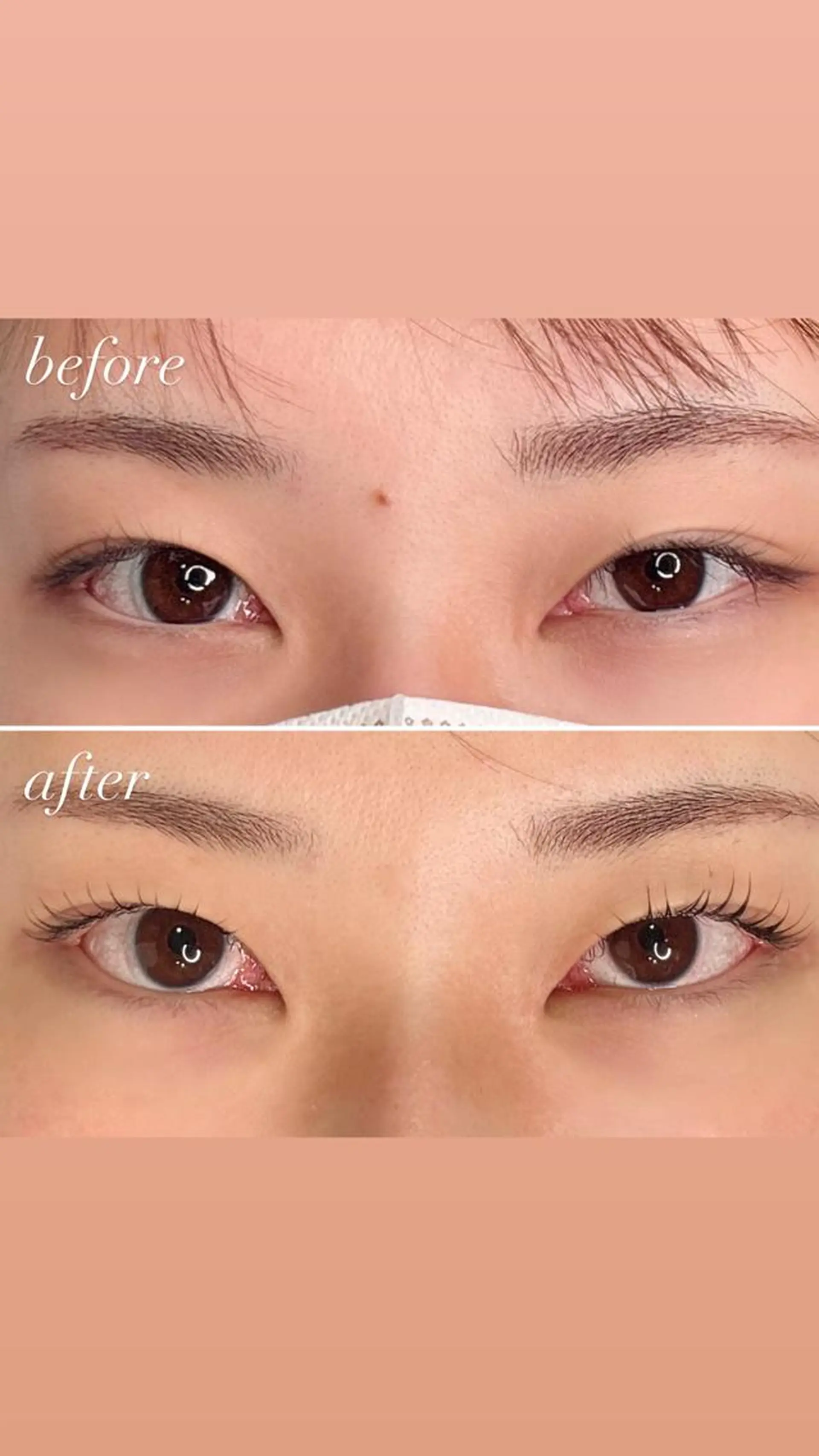 マツエク・マツパ パリジェンヌラッシュリフト まつげパーマ アイサロン ＭＩＹＯのマツエク・マツパデザイン