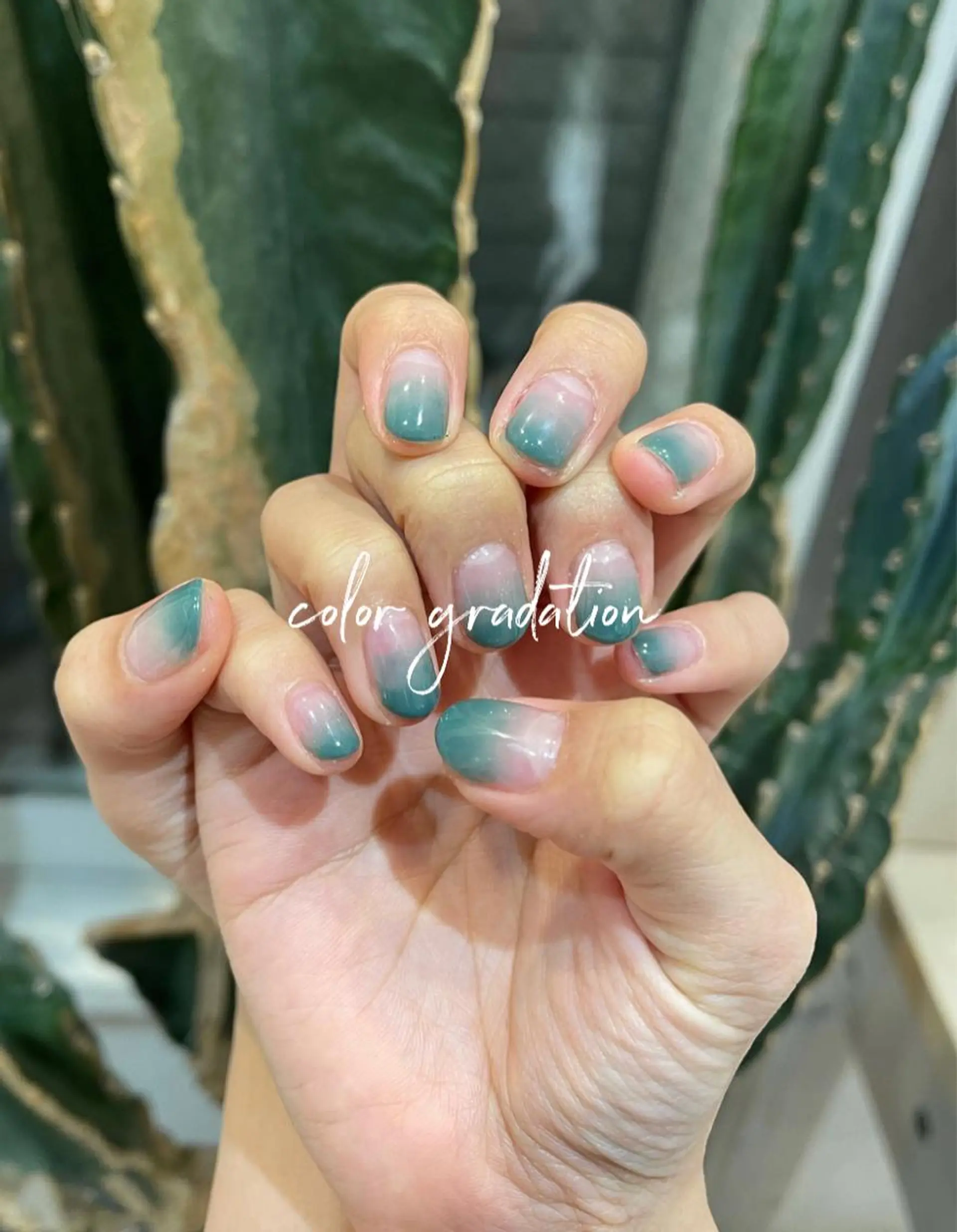 ネイル SATO .のマツエク・マツパデザイン