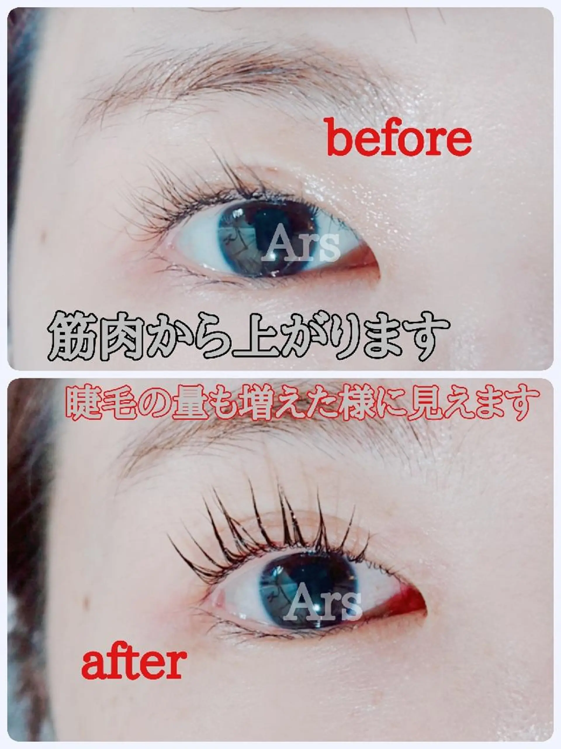 マツエク・マツパ アイリッドアップパーマ Ars (アルス)所属・Ars (アルス)のマツエク・マツパデザイン