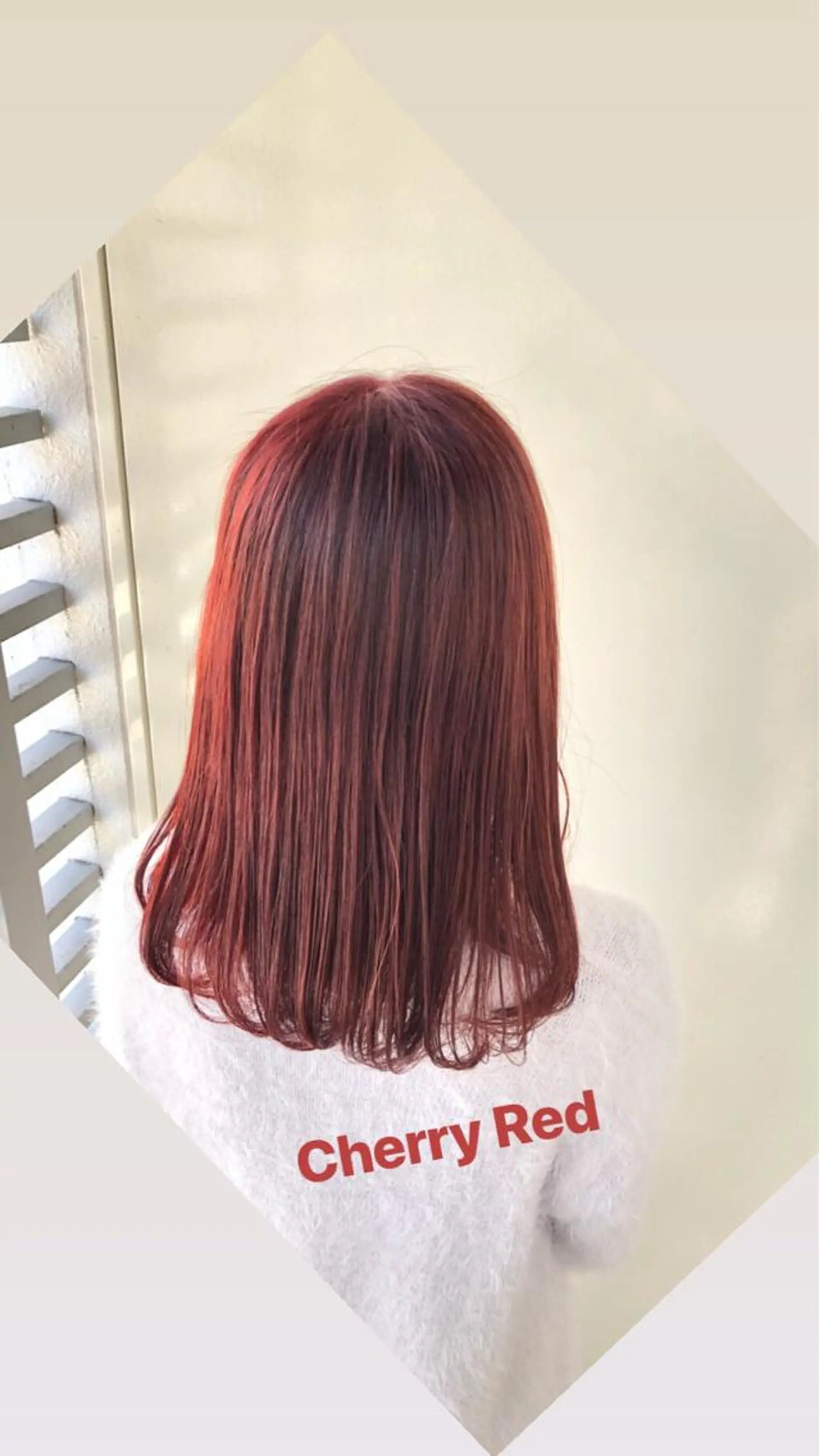 ミディアム カラー 韓国🇰🇷レイヤー 映える顔周り🩷のヘアスタイル