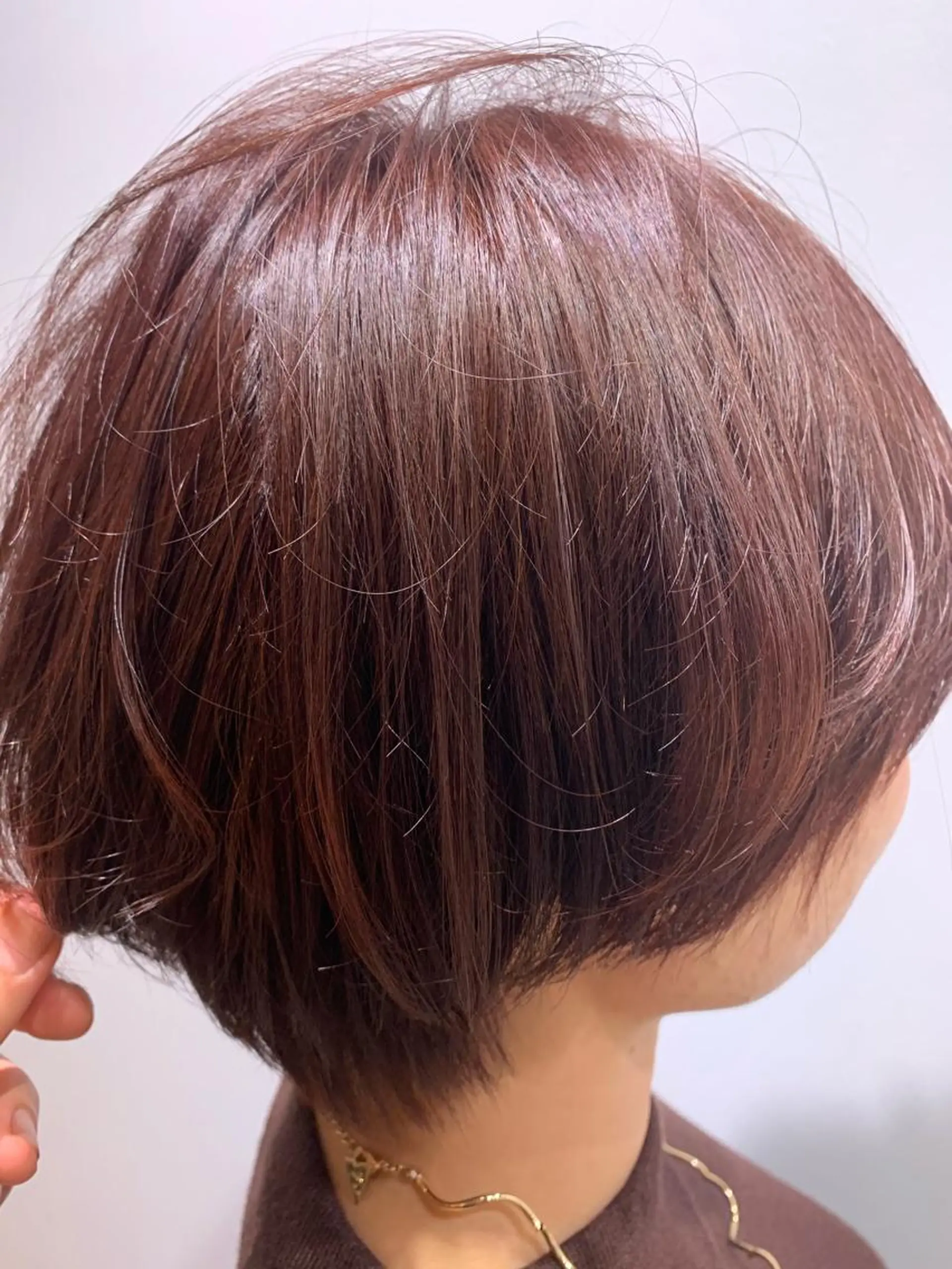 カラー 鈴木 真司のヘアスタイル