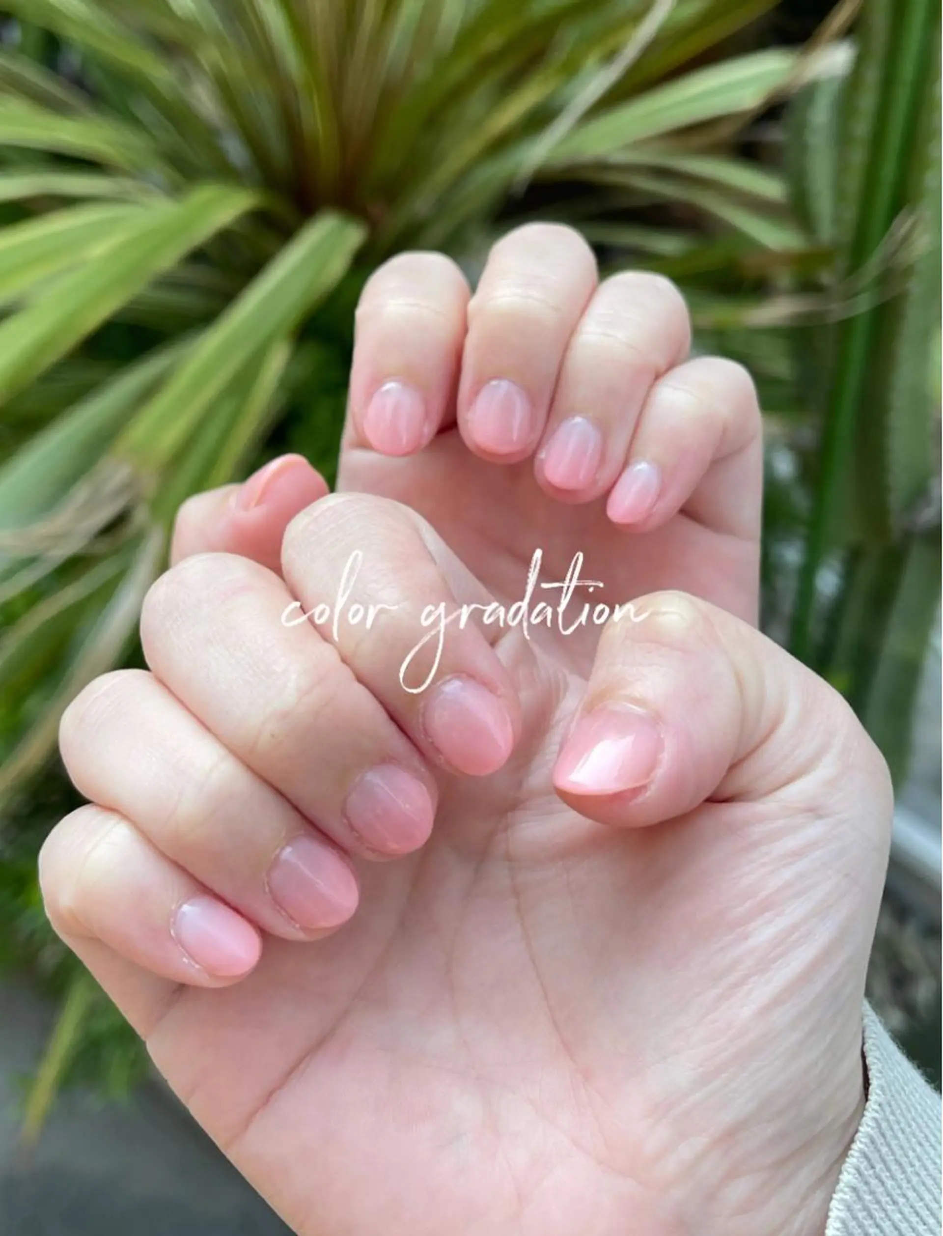 ネイル SATO .のマツエク・マツパデザイン